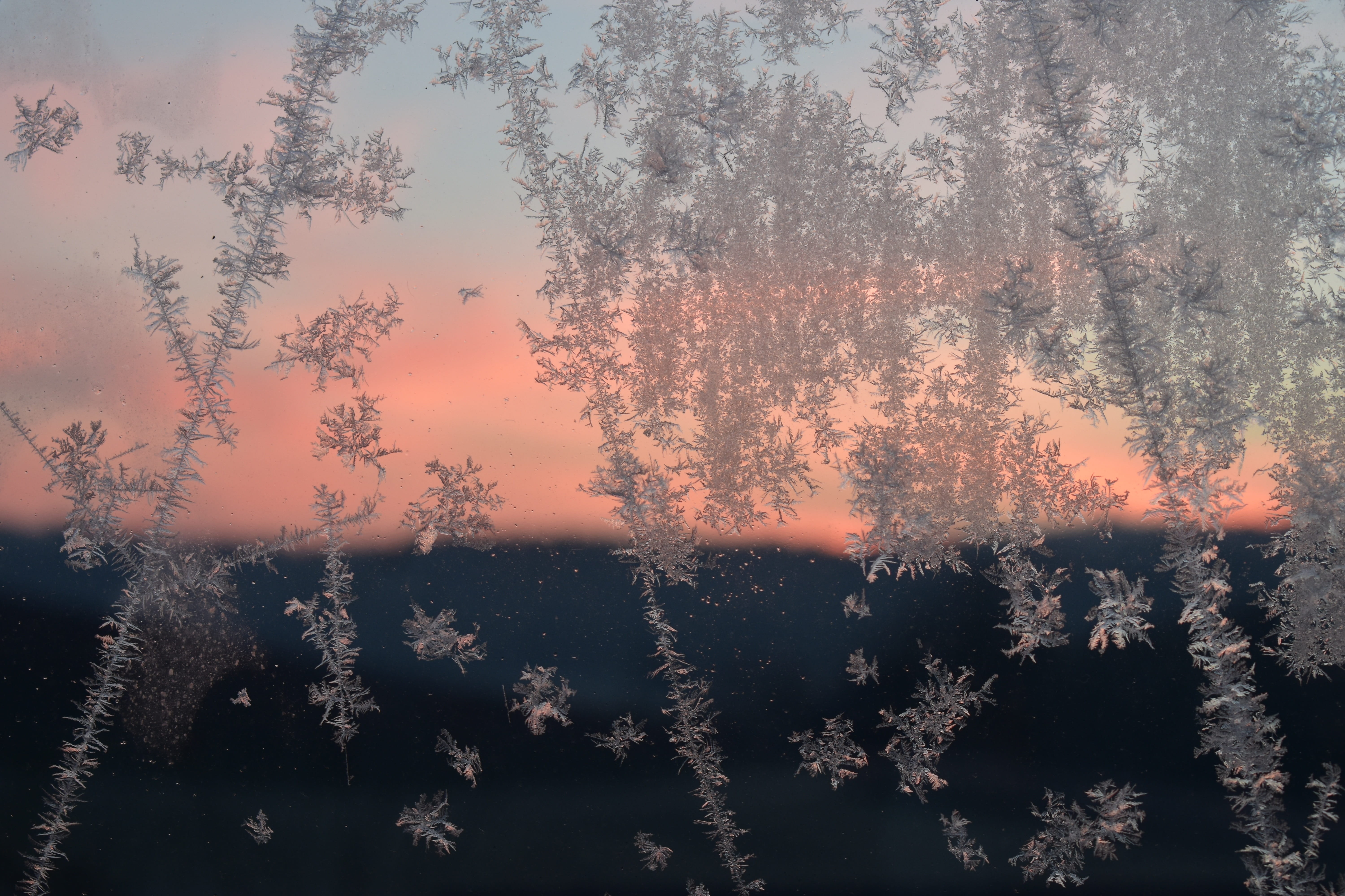sky, tree, Frozen, scenics - nature, Frost, iced, ice pattern, outdoors, growth, eiskristalle, Hardest, coniferous tree, nature, glass, beauty in nature, HD Wallpaper