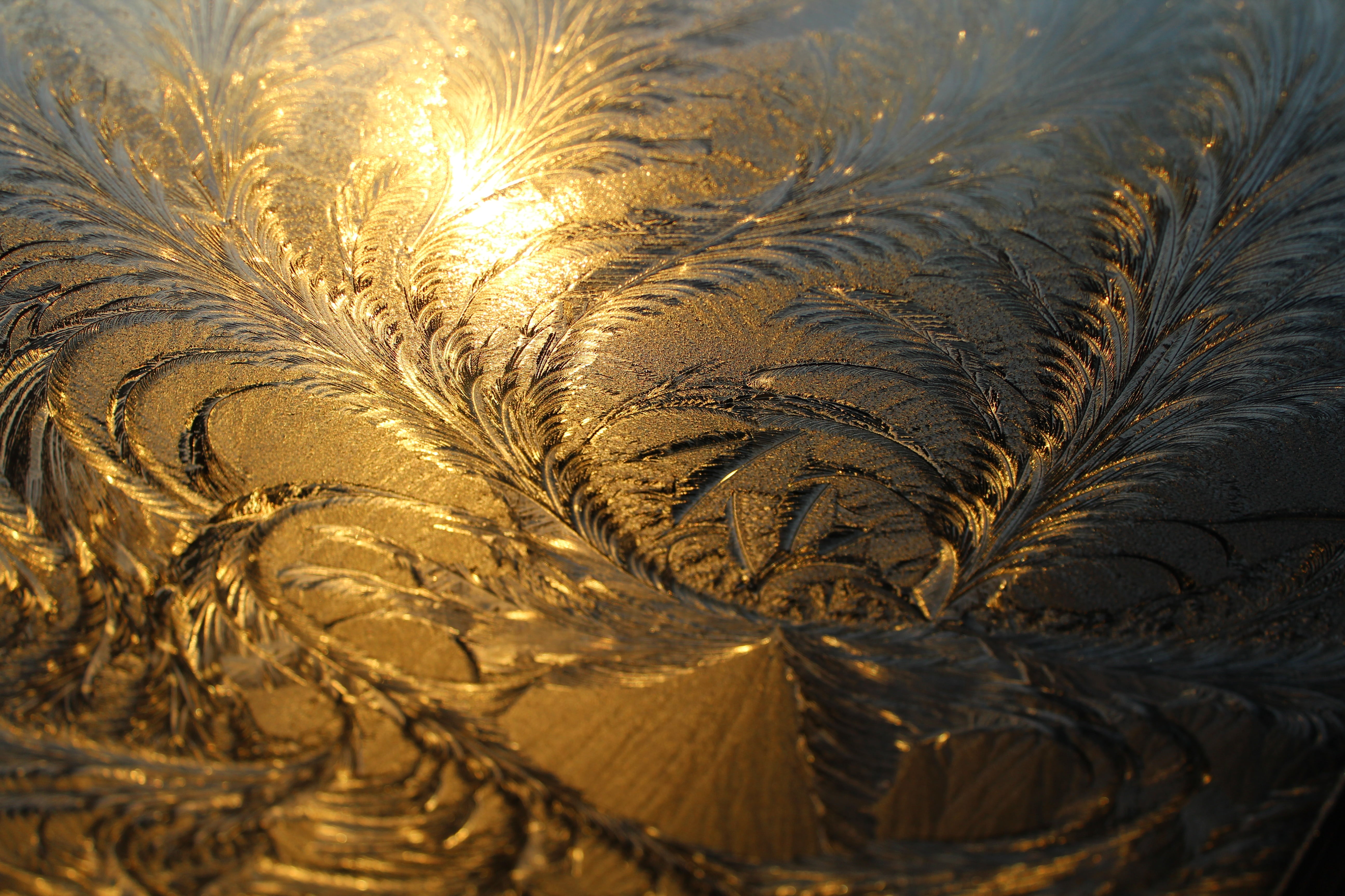 selective focus, high angle view, floral pattern, sunlight, hardest, glass, outdoors, nature, frost, winter, winter magic, structure, sunset, water, gold Colored, HD Wallpaper