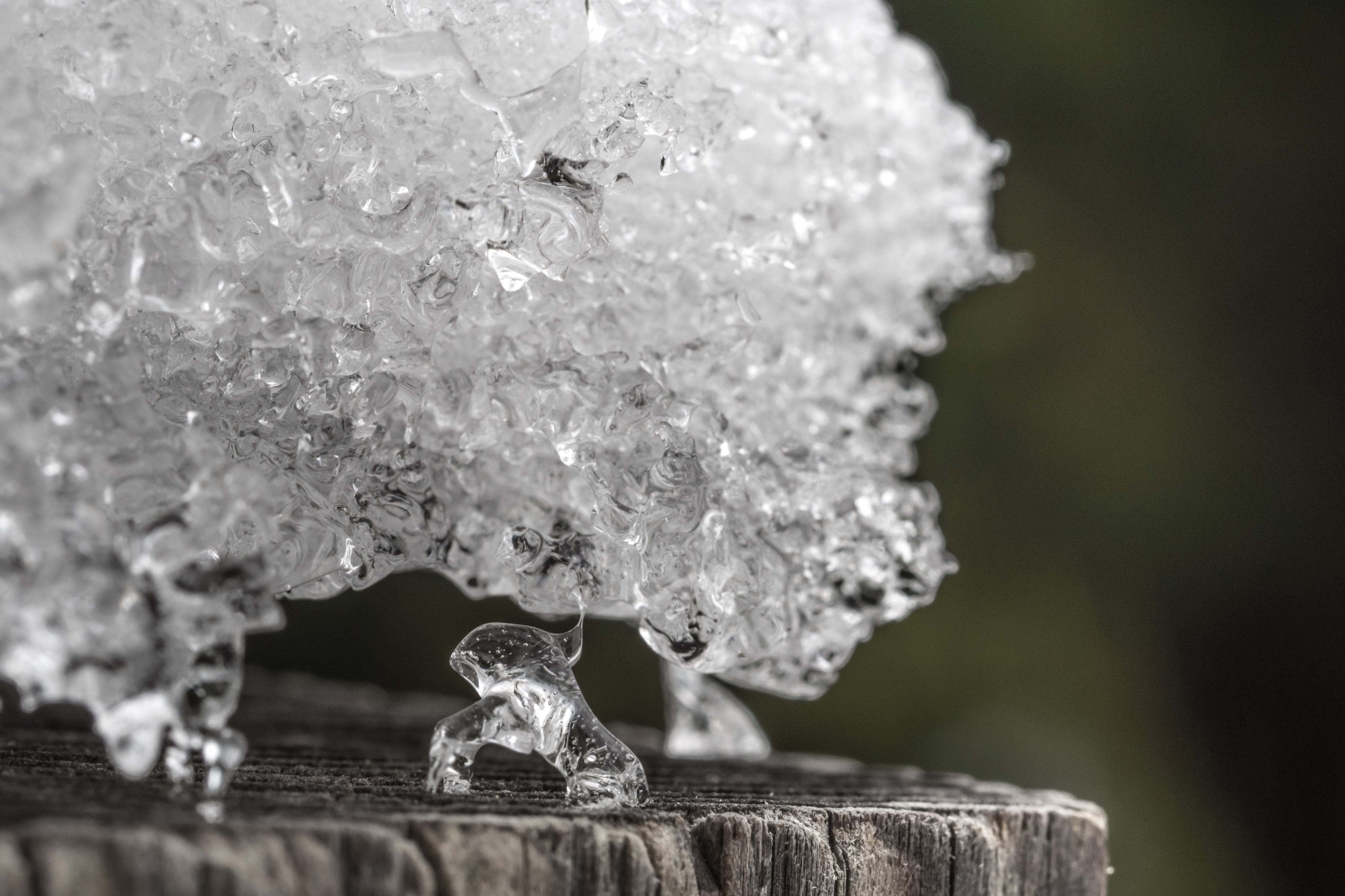 Winter, snow, cold temperature, white, nature, extreme close-up, eiskristalle, silver colored, Ice, selective focus, no people, hoarfrost, 4K, hardest, HD Wallpaper