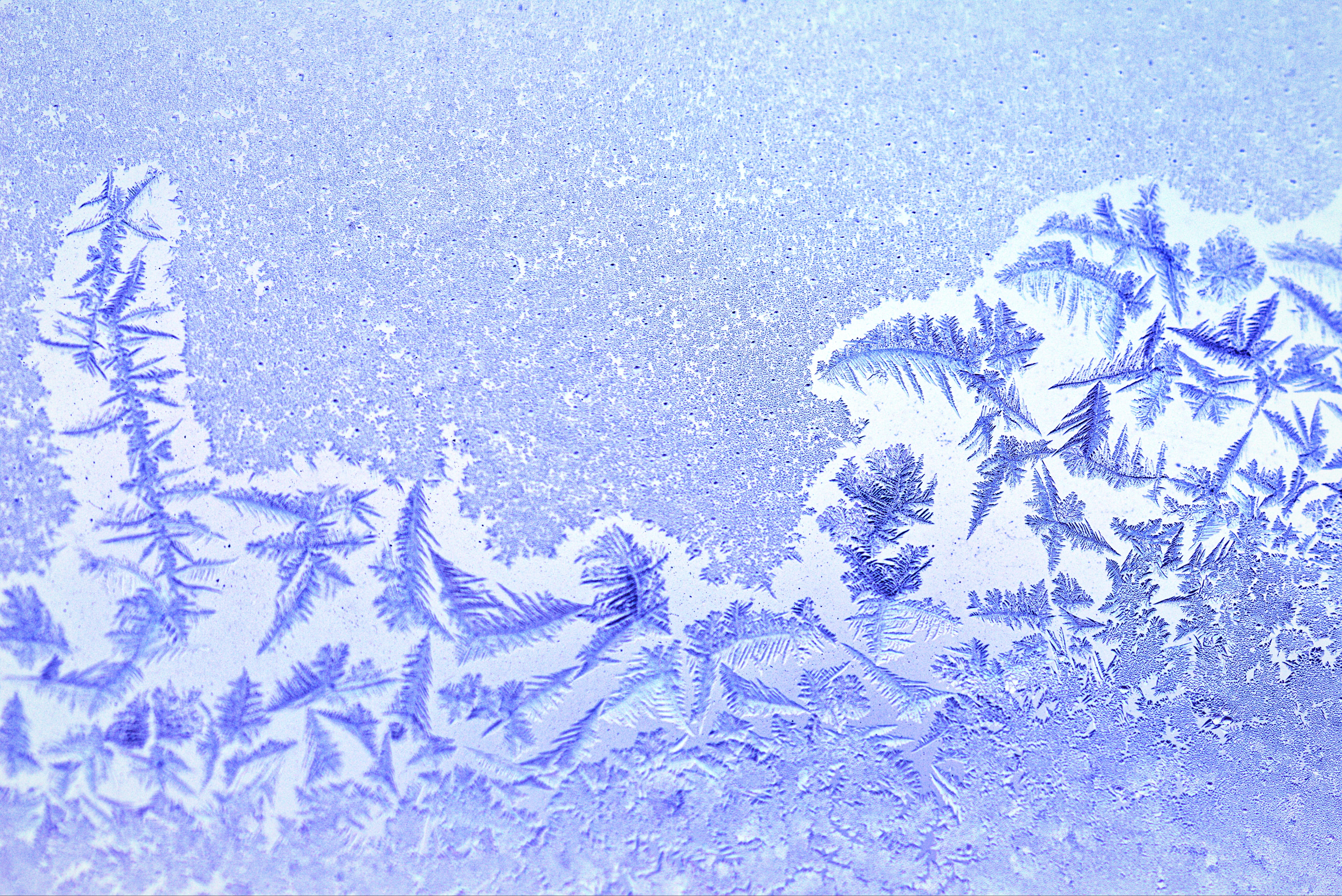 high angle view, winter, no people, full frame, winter magic, macro, day, close-up, blue, background, cold temperature, crystals, beauty in nature, 4K, HD Wallpaper