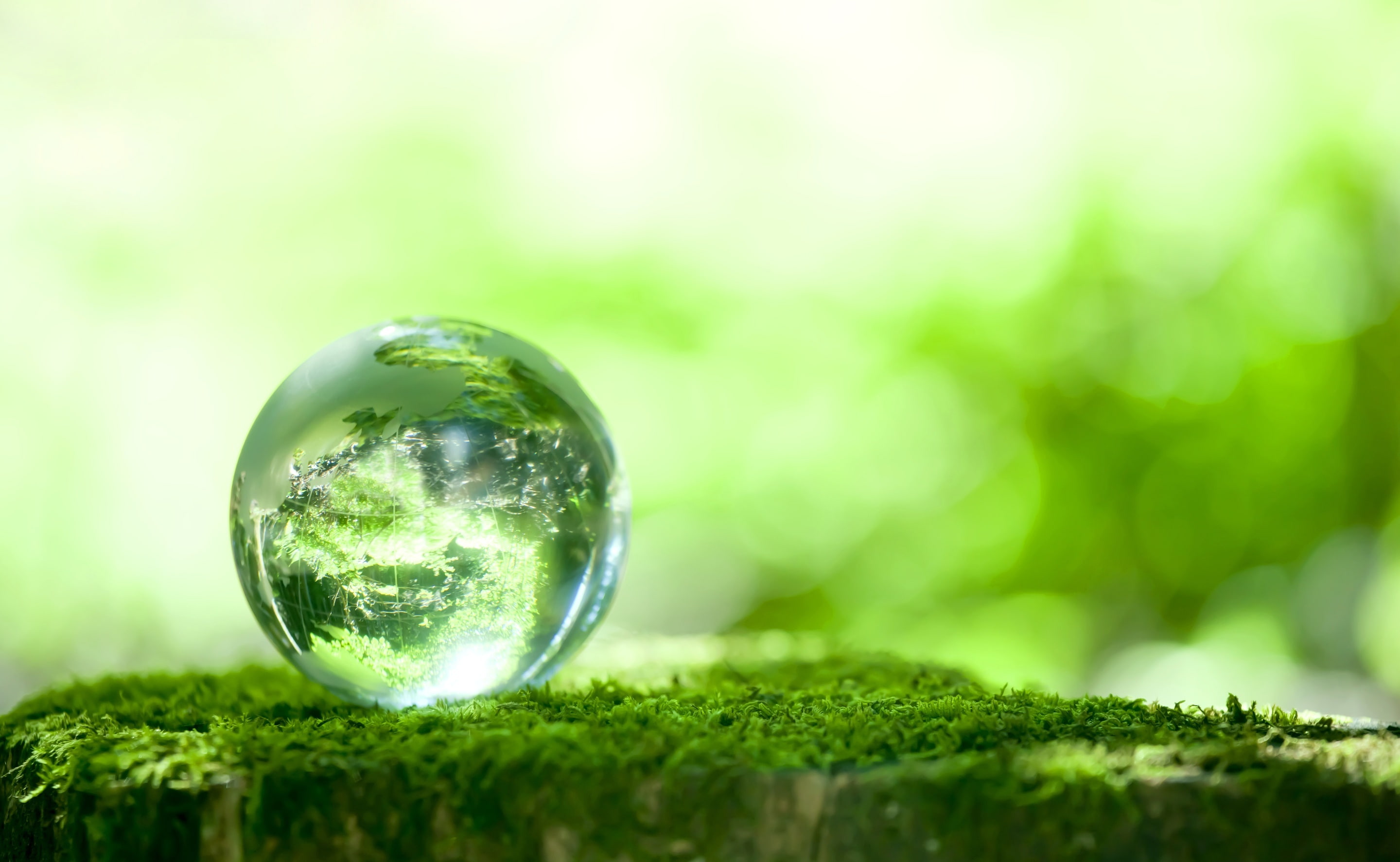 selective focus, grass, outdoors, sphere, ball, focus on foreground, 2K, tree, crystal ball, moss, beauty in nature, Planet, transparent, green color, HD Wallpaper