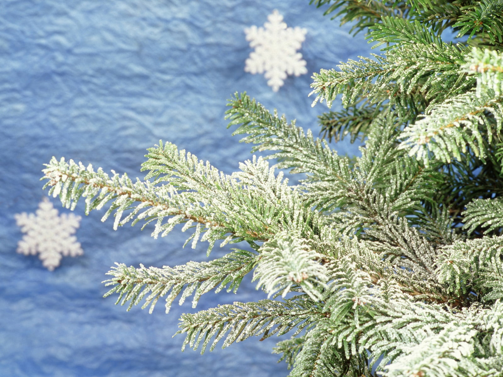 christmas, fur-tree, green Color, coniferous Tree, ice, branch, no People, decoration, fir Tree, twig, holiday, frost, growth, backgrounds, new year, pattern, HD Wallpaper