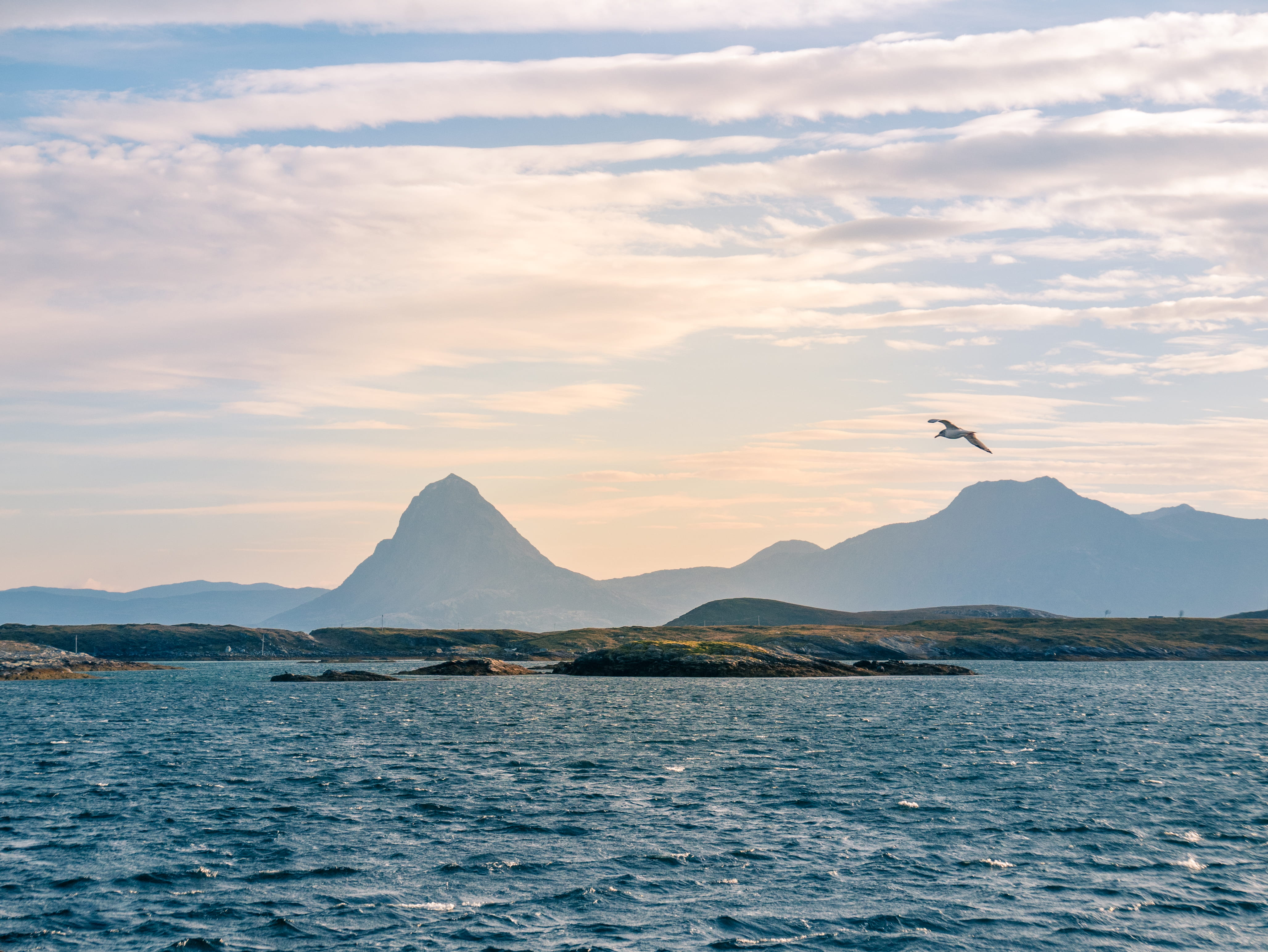 sunset, lurøy, solværøyene, animal themes, 4K, beauty in nature, northern norway, vertebrate, seagull, flying, mountains, cloud - sky, animal wildlife, HD Wallpaper