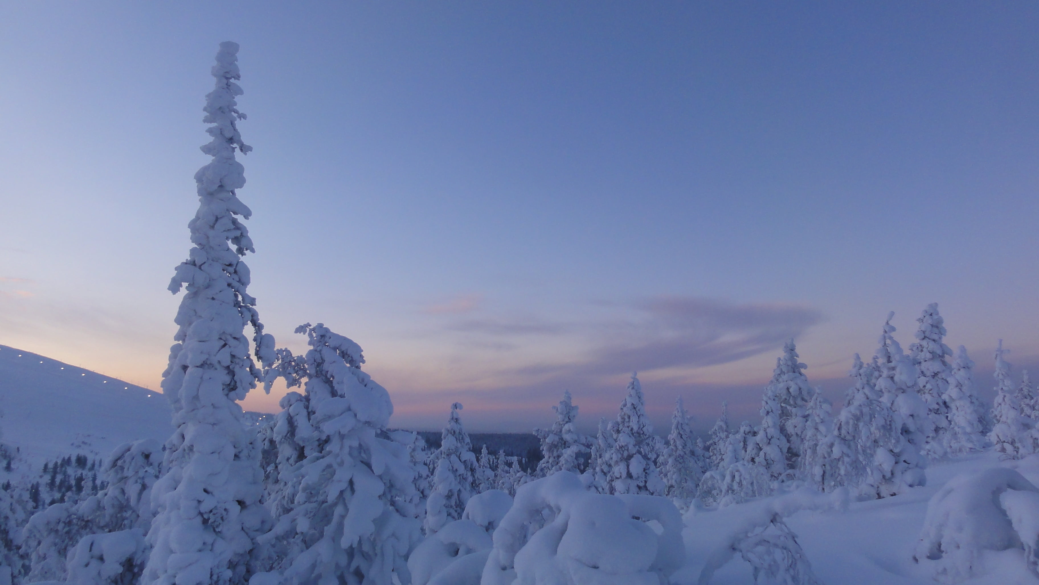 snowy, scenics - nature, tranquility, beauty in nature, environment, finland, trees, land, tranquil scene, white color, non-urban scene, 2K, no people, HD Wallpaper