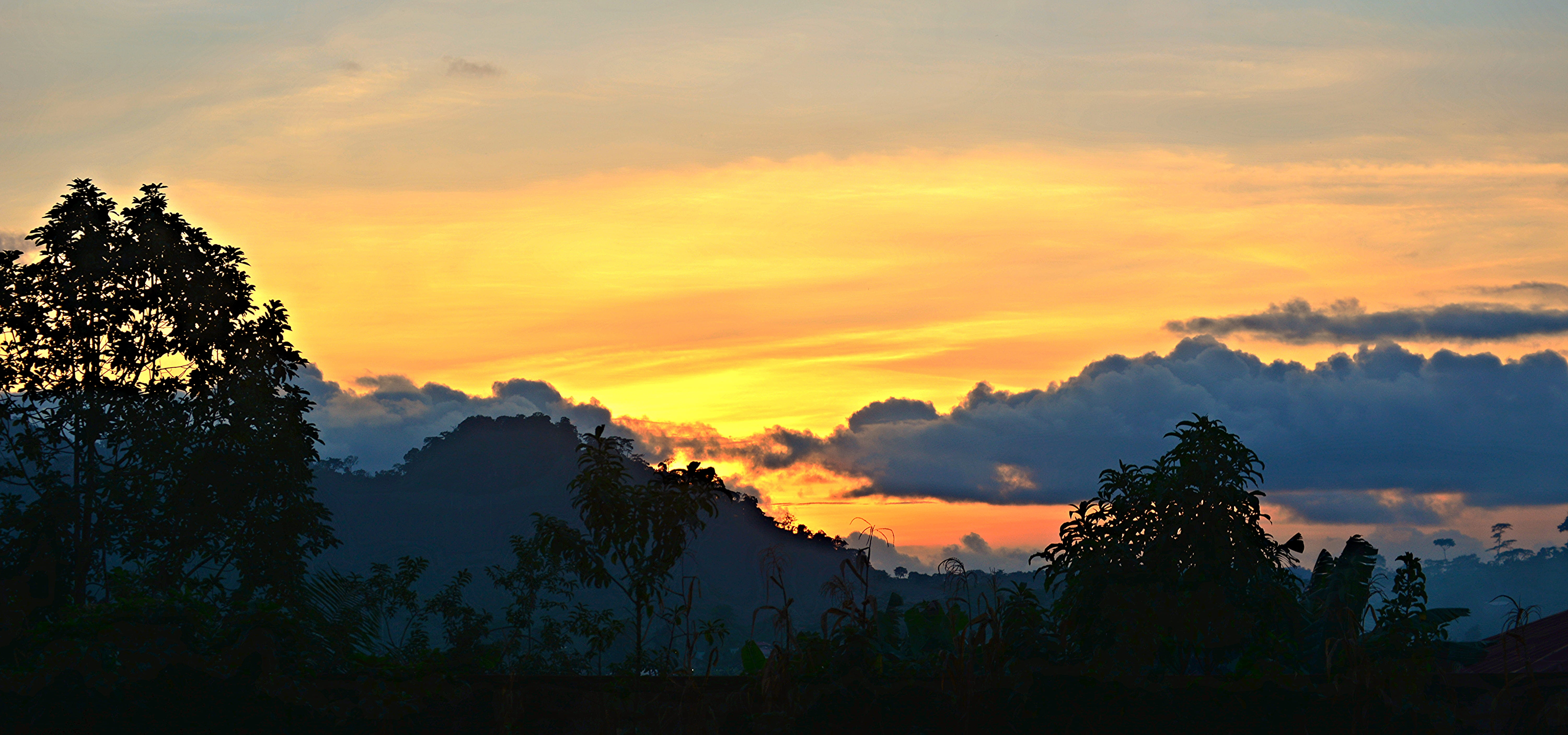 tranquility, idyllic, environment, plant, romantic sky, cloud - sky, mountain, tree, cameroun, sky, sunset, trees, tranquil scene, landscape, silhouette, HD Wallpaper