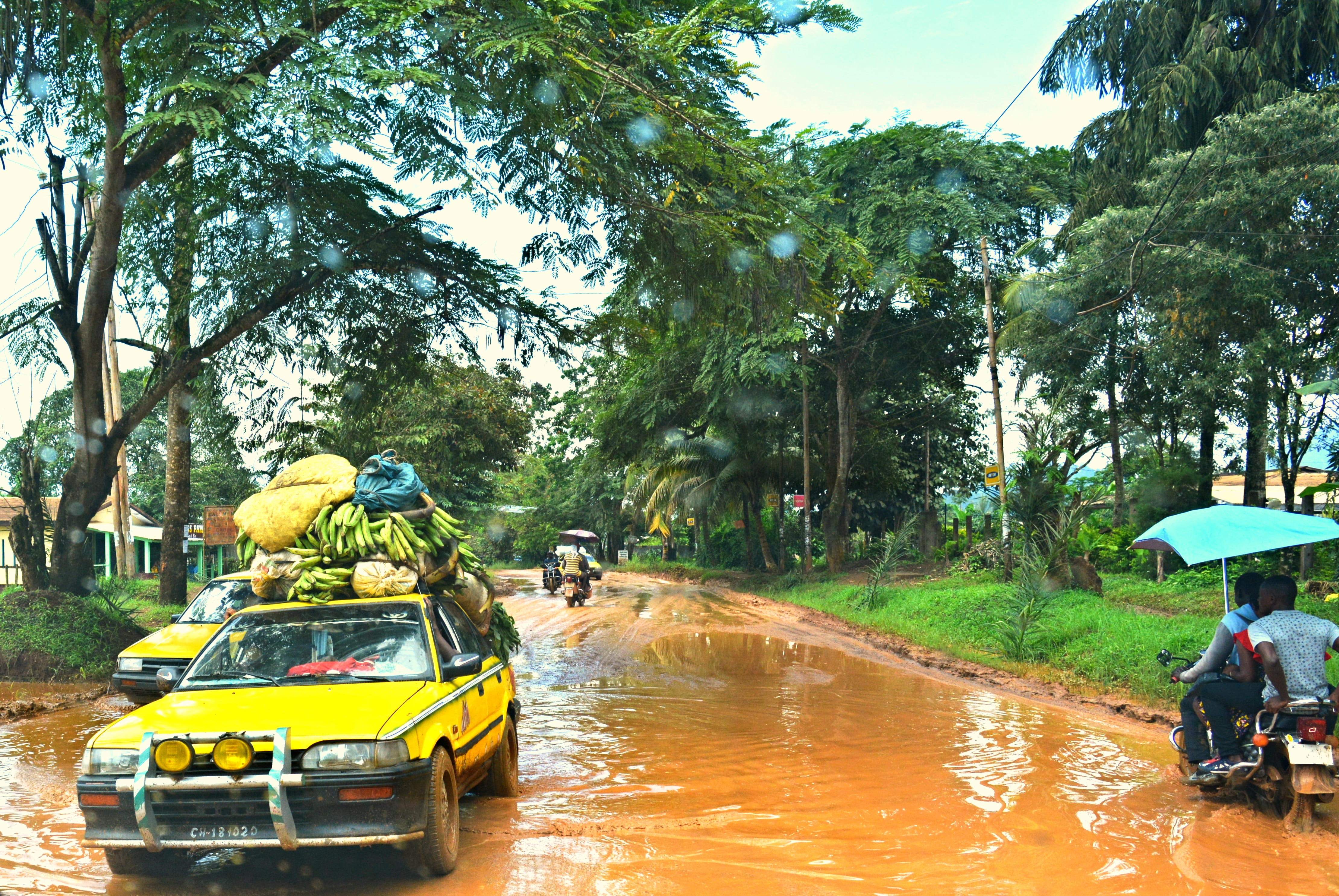 nikon, kumba, tree, green color, land vehicle, cameroon, water, 4K, people, streets, day, transportation, nature, group of people, men, nautical vessel, HD Wallpaper