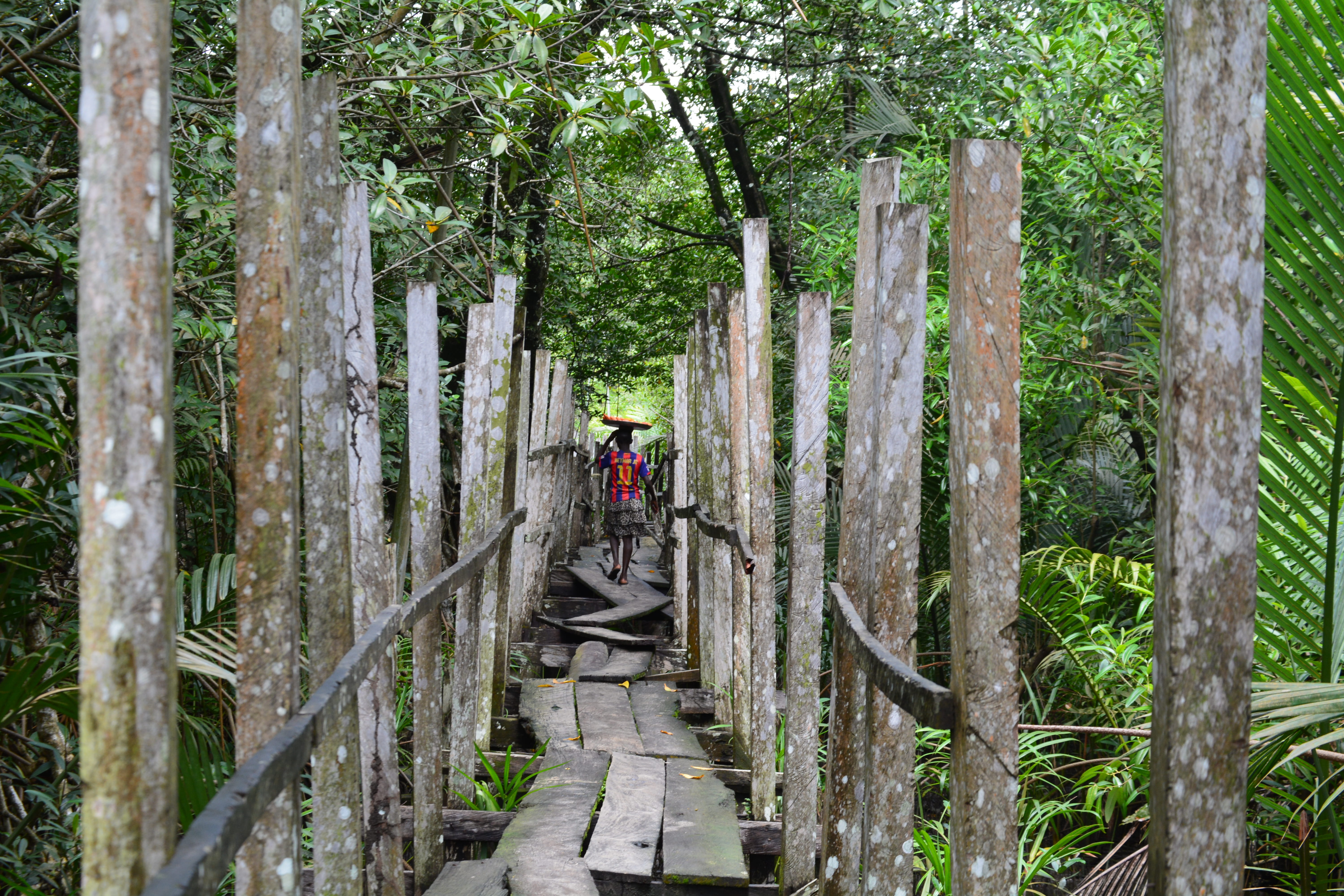 green color, full length, forest, 5K, tree trunk, trunk, cameroun, cameroon, men, bridge, one person, trees, growth, manoka, nature, commerce, outdoors, HD Wallpaper