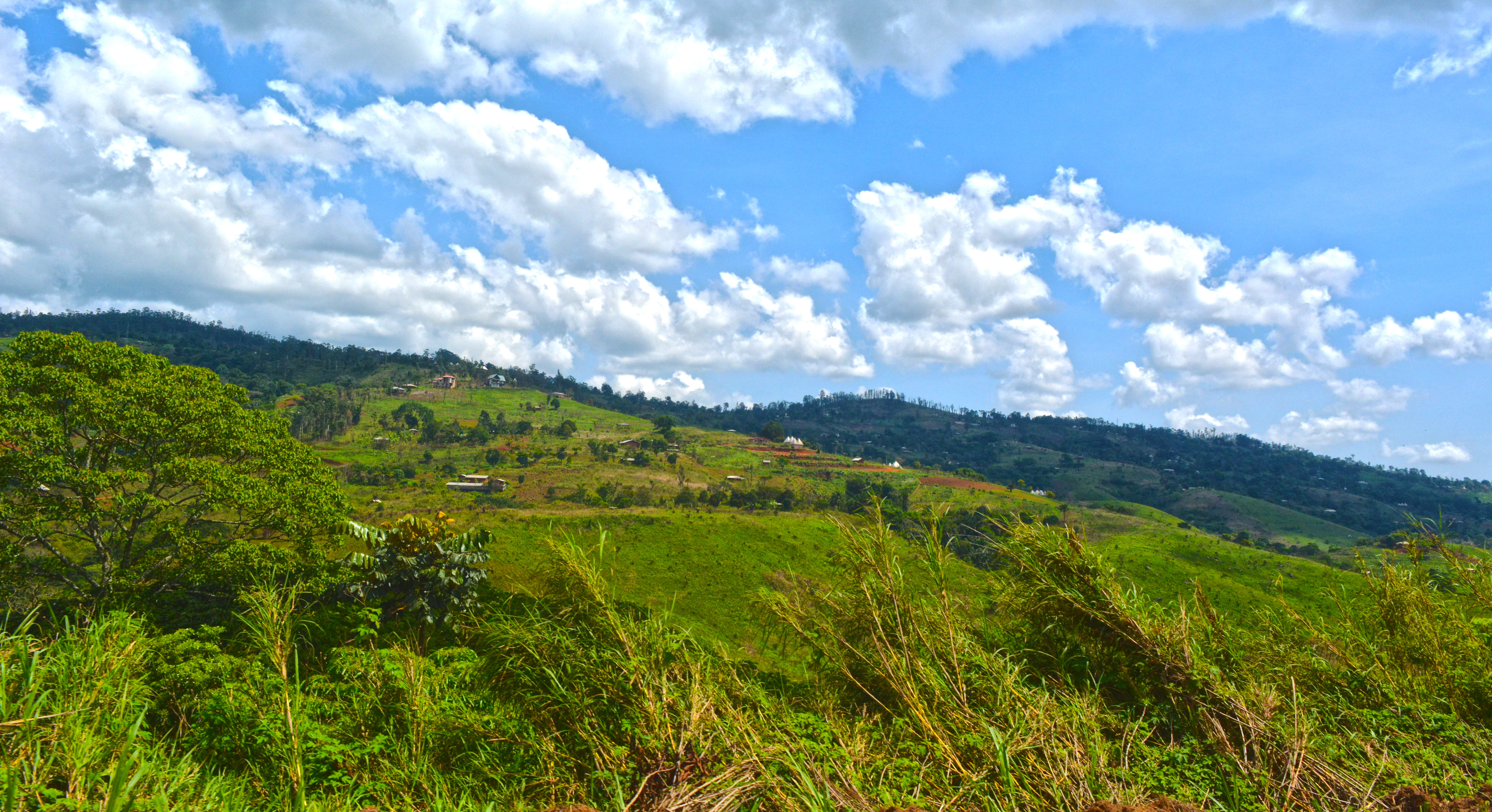 rolling landscape, mountains, bamileke, traveller, grass, non-urban scene, traveling, panorama, beauty in nature, trees, green color, idyllic, cameroon, HD Wallpaper
