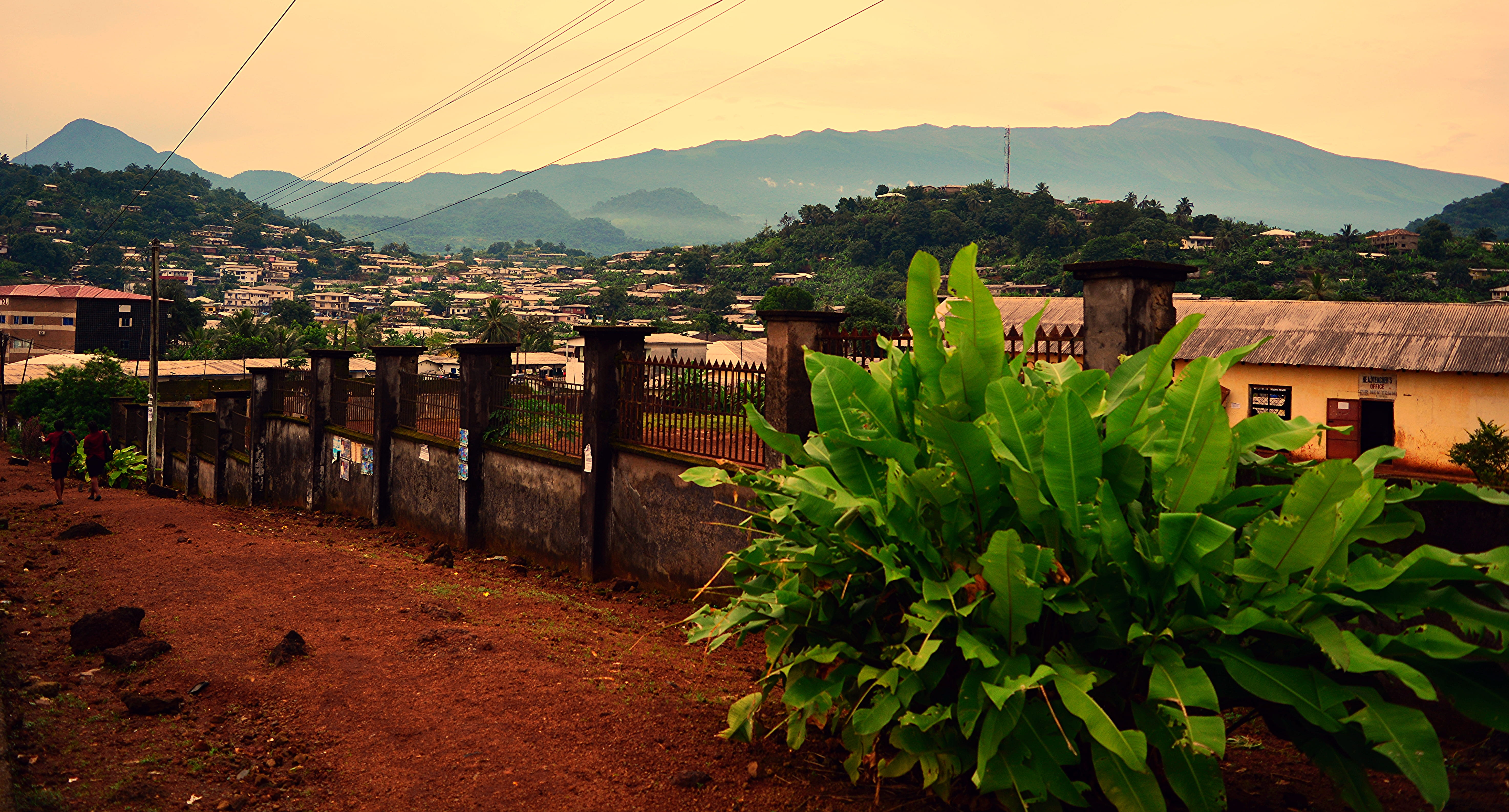 sky, day, cameroun, fako, cityscape, growth, outdoors, etinde, plant, cameroon, mountains, built structure, no people, house, nature, rural scene, green, HD Wallpaper