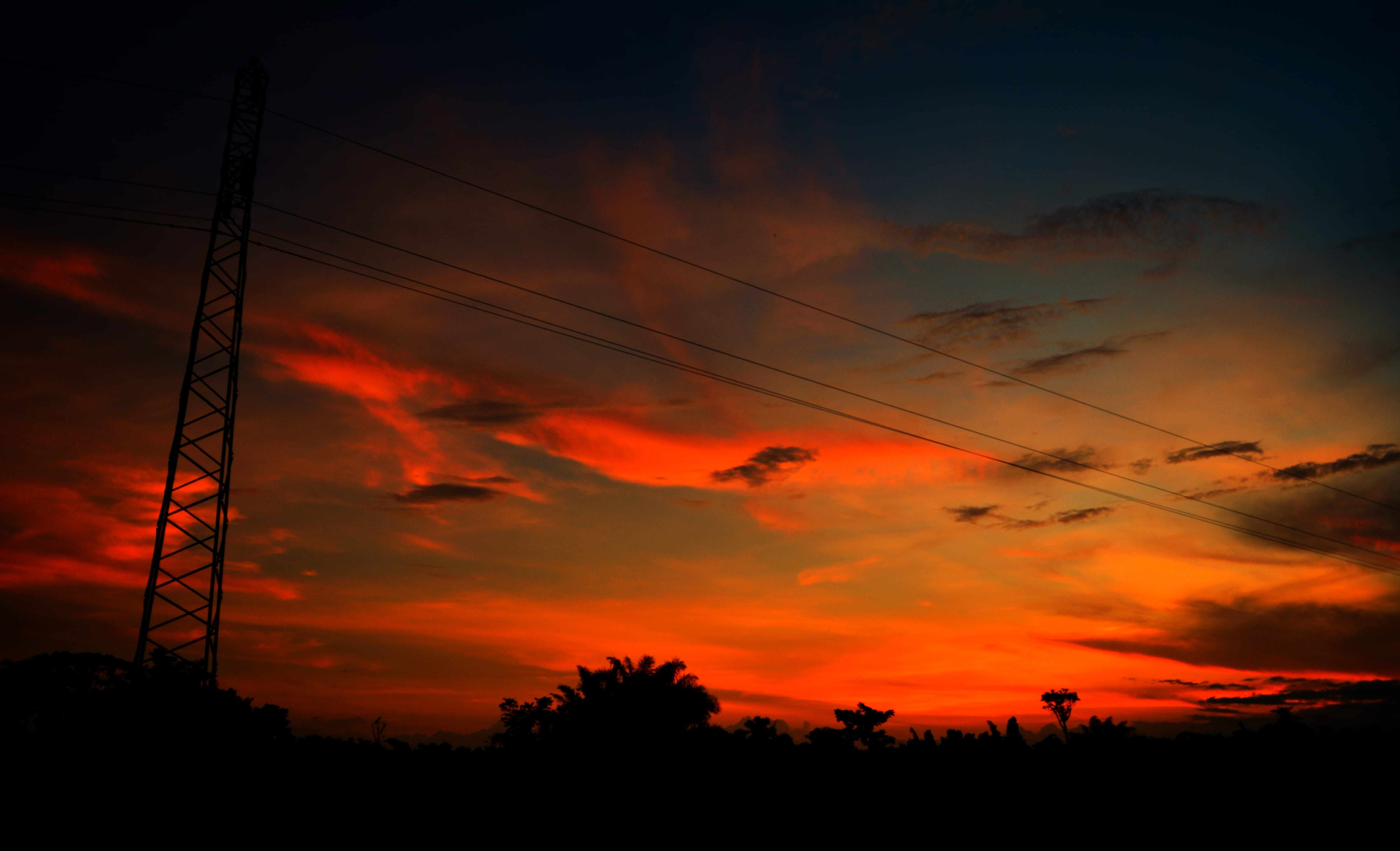 plant, sky, silhouette, 5K, kmertour, tree, scenics - nature, power line, orange color, electricity pylon, cable, fuel and power generation, no people, HD Wallpaper