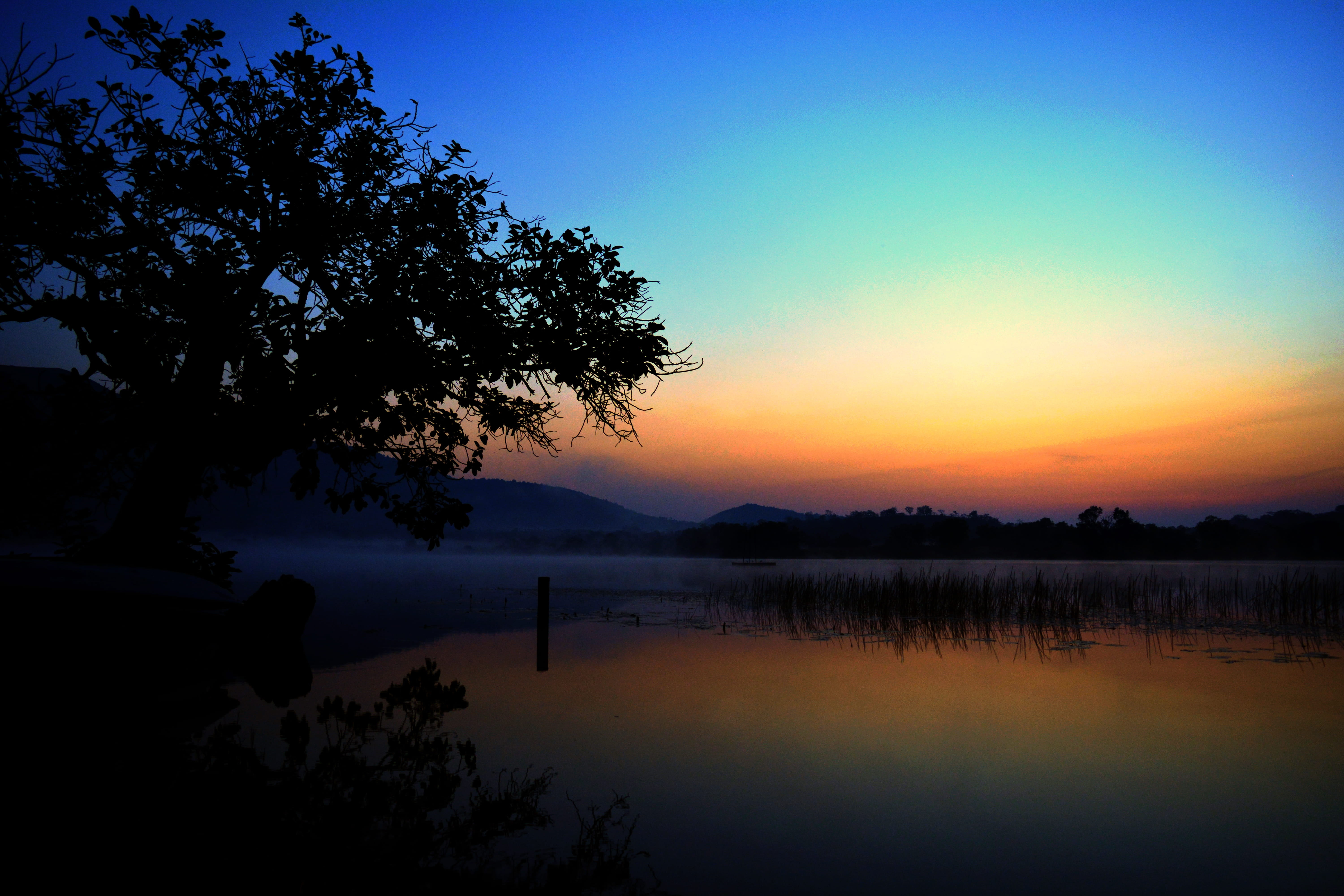 cameroon, reflection, tranquility, sunrise, growth, non-urban scene, silhouette, 5K, tree, tranquil scene, kmertour, water, sunset, outdoors, orange color, HD Wallpaper
