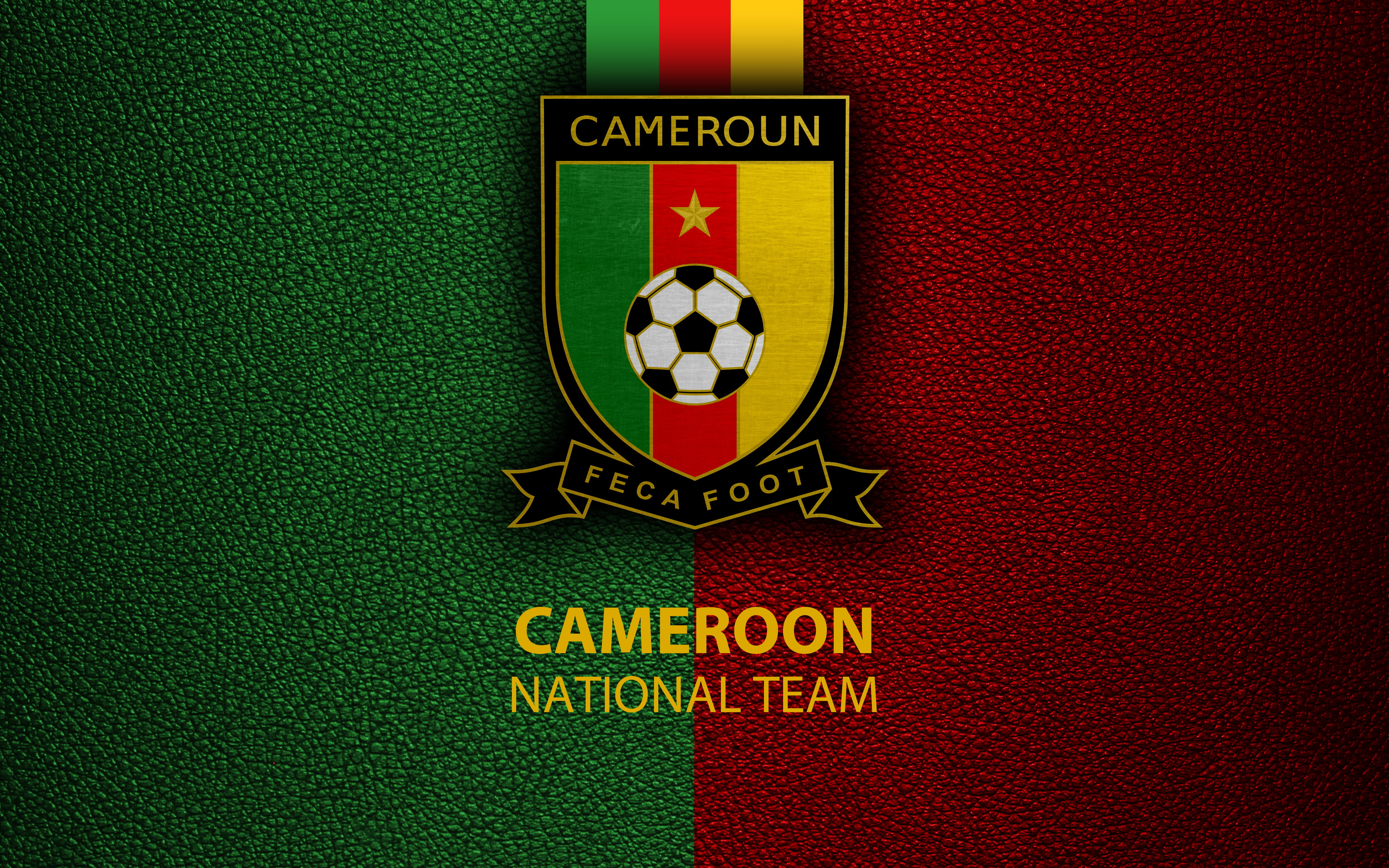4K, Cameroon National Football Team, Emblem, Soccer, Cameroon, Logo, HD Wallpaper