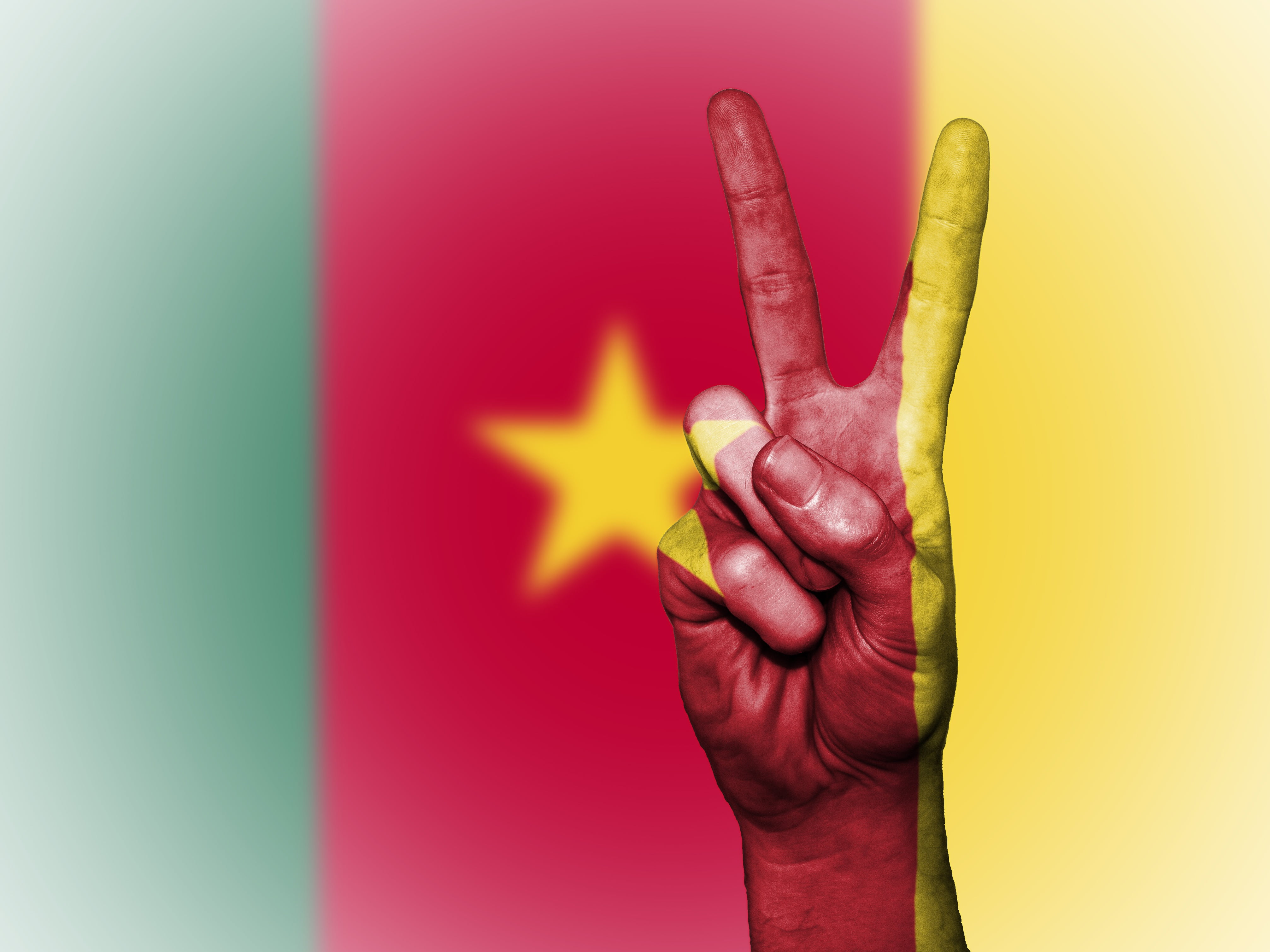 symbol, patriotism, human hand, human body part, flag, indoors, finger, red, palm, pride, hand sign, human finger, one person, hand, creativity, studio shot, HD Wallpaper