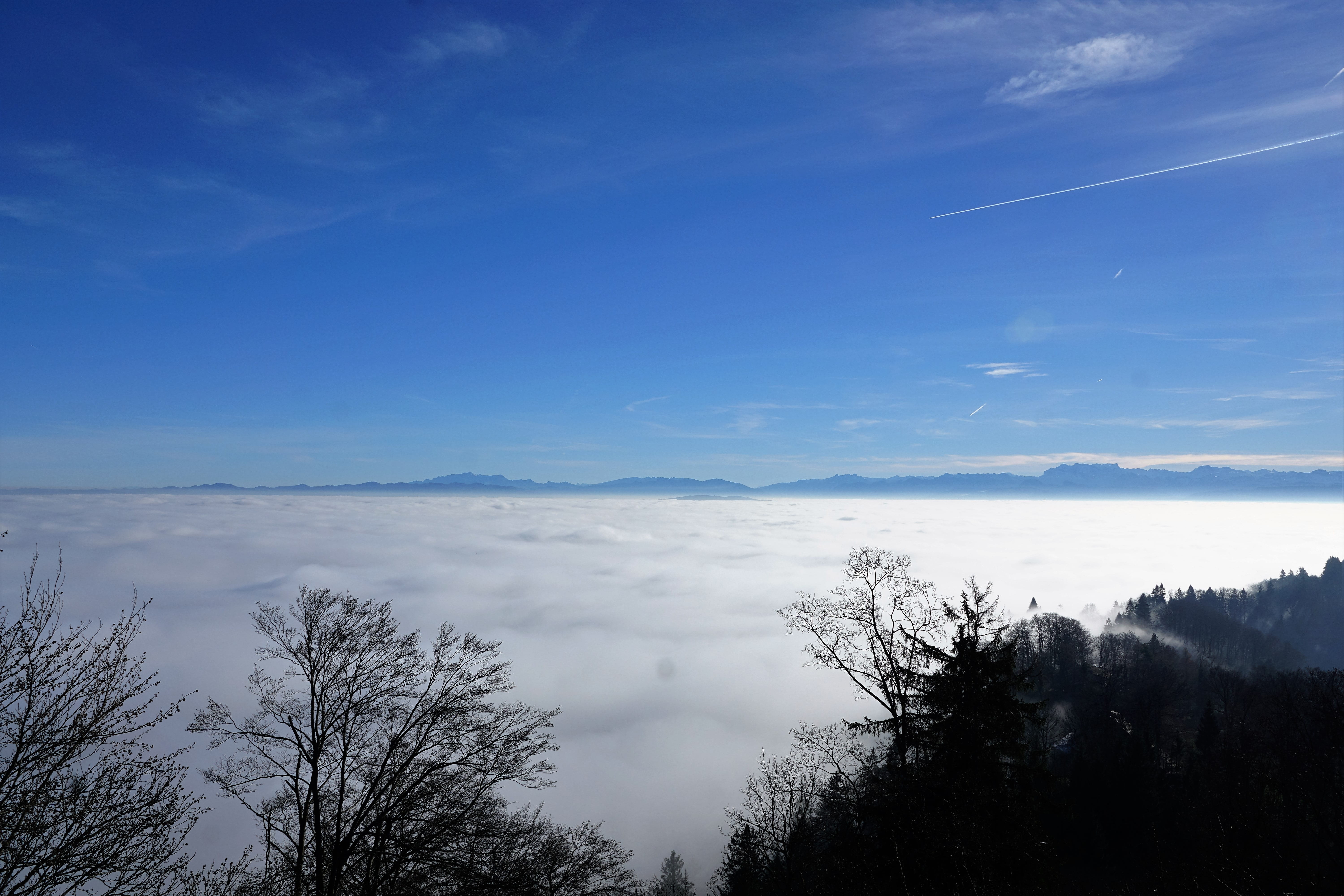 depression, customs con, vapor trail, high, hike, winter, therapy, day, water, uetliberg, gold coast, cloud - sky, rest, route, december, stripes, nature, HD Wallpaper