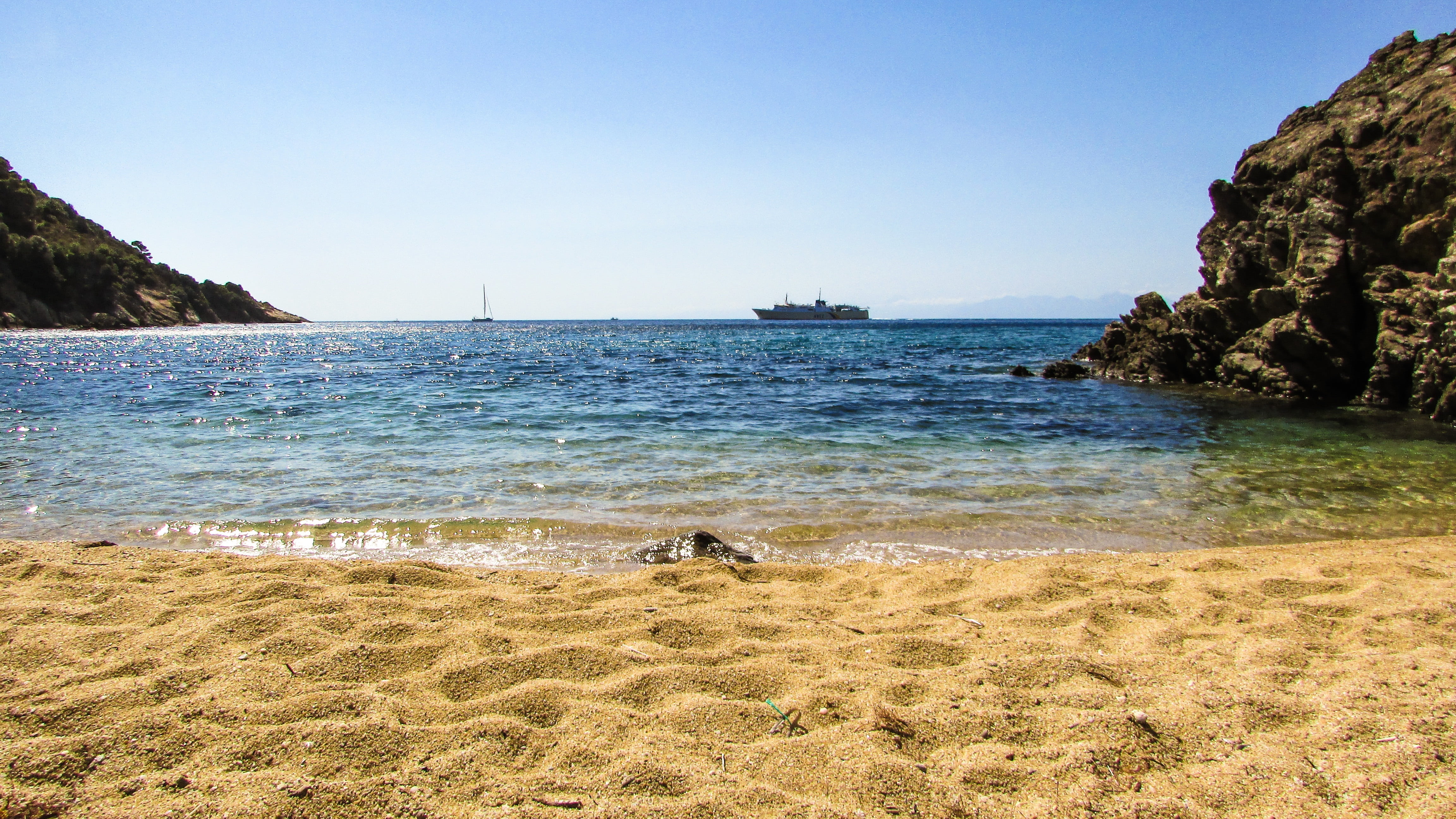 greek, horizon over water, brown, island, summer, dog, canine, day, scenic, greece, aegean, bay, water, no people, animal themes, animal, diamanti beach, HD Wallpaper