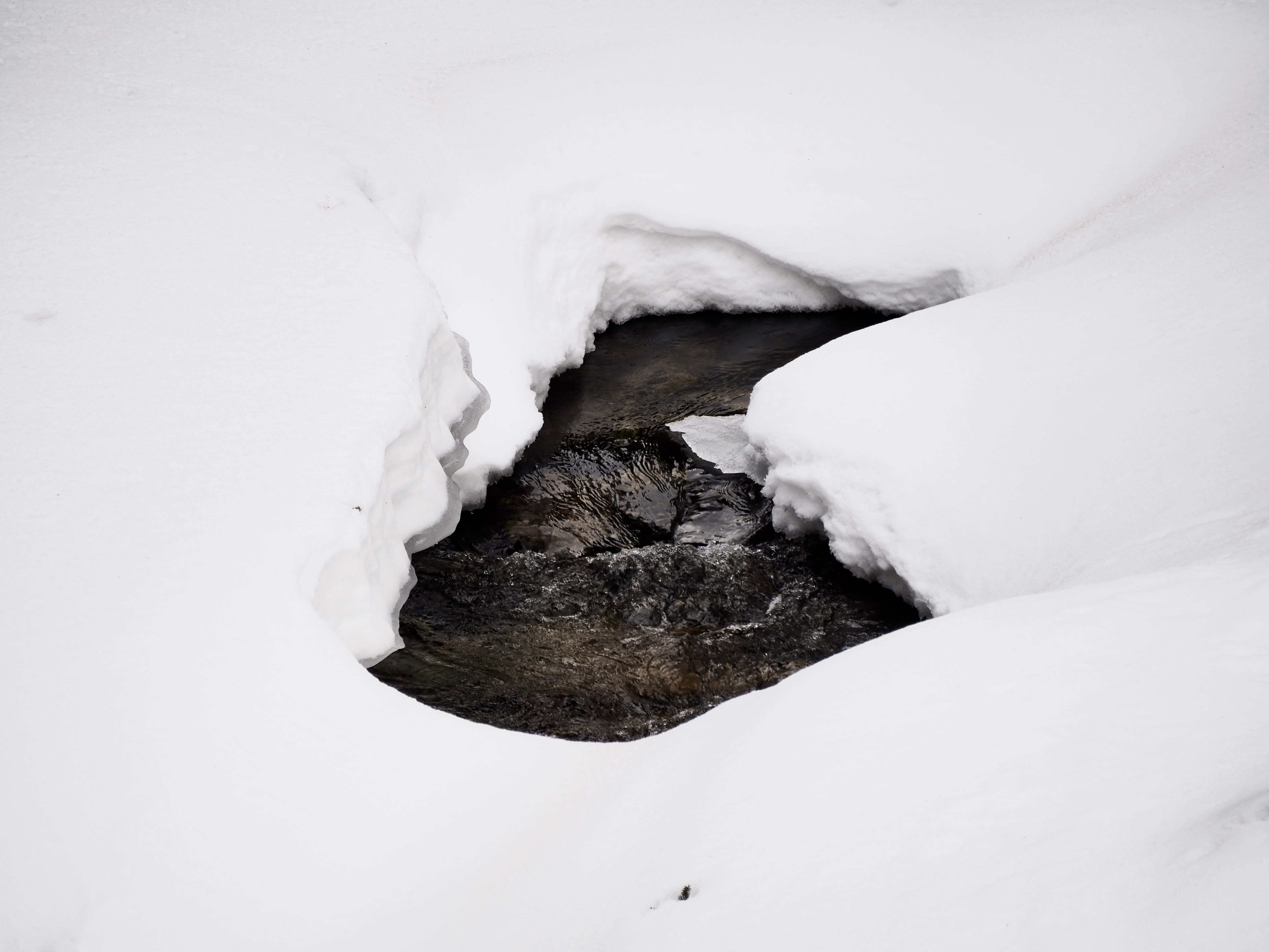 frozen, river, nature, untitled, outdoors, cold temperature, find, water, beauty in nature, ever wild, bitter cold, body part, will, land, snow, everwildme, HD Wallpaper