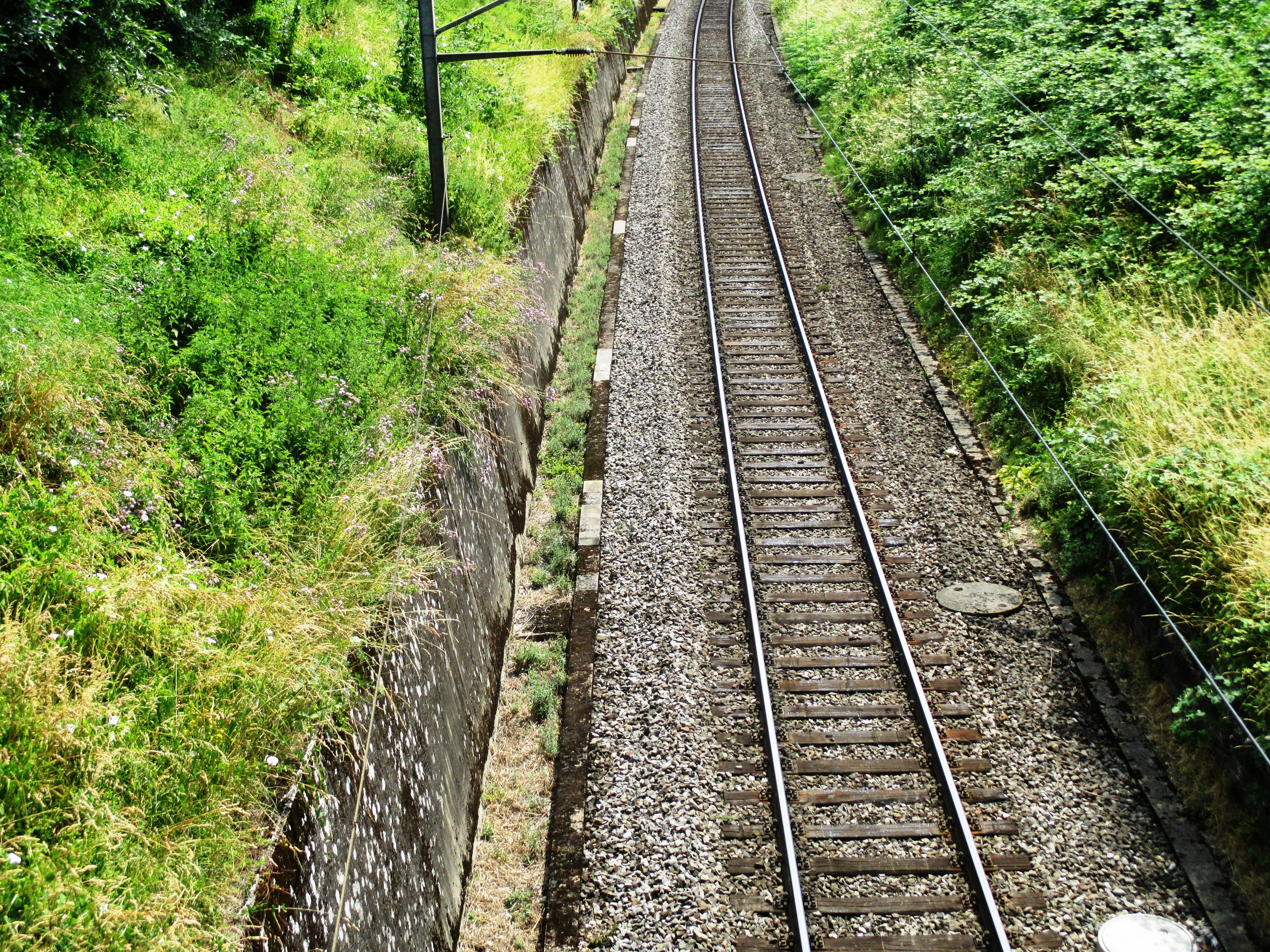 tree, seemed, track, outdoors, growth, Railway, track bed, long, straight, Gravel, no people, the way forward, diminishing perspective, high angle view, HD Wallpaper