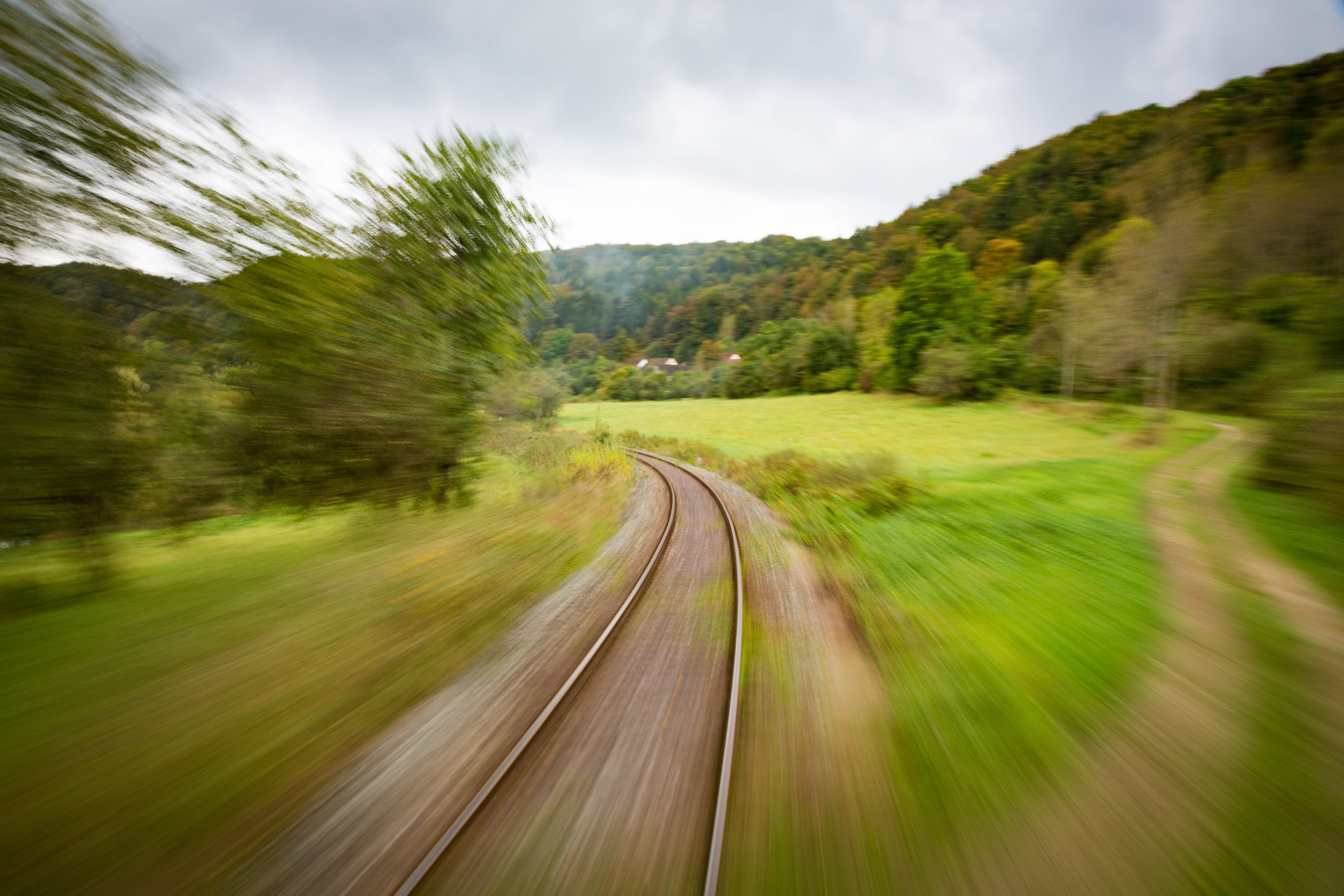 plant, fast, tree, mobile, green, nature, backwards, the way forward, pebble, direction, drive, forest, railway, wipe effect, rear, outdoors, dynamic, environment, HD Wallpaper