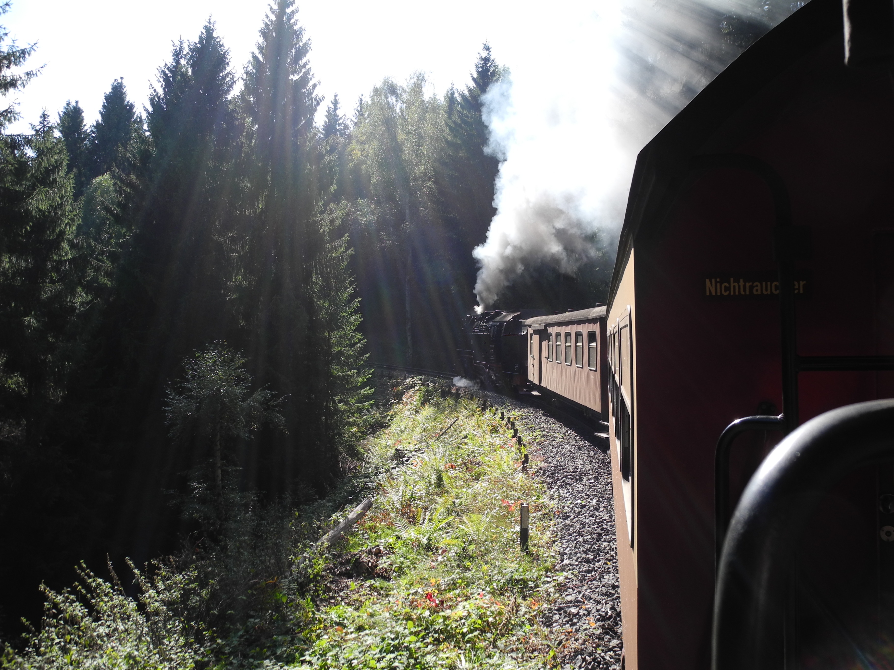 public transportation, outdoors, transportation, tree, loco, zugfahrt, smoke - physical structure, no people, steam train, day, air pollution, sky, sunbeam, HD Wallpaper