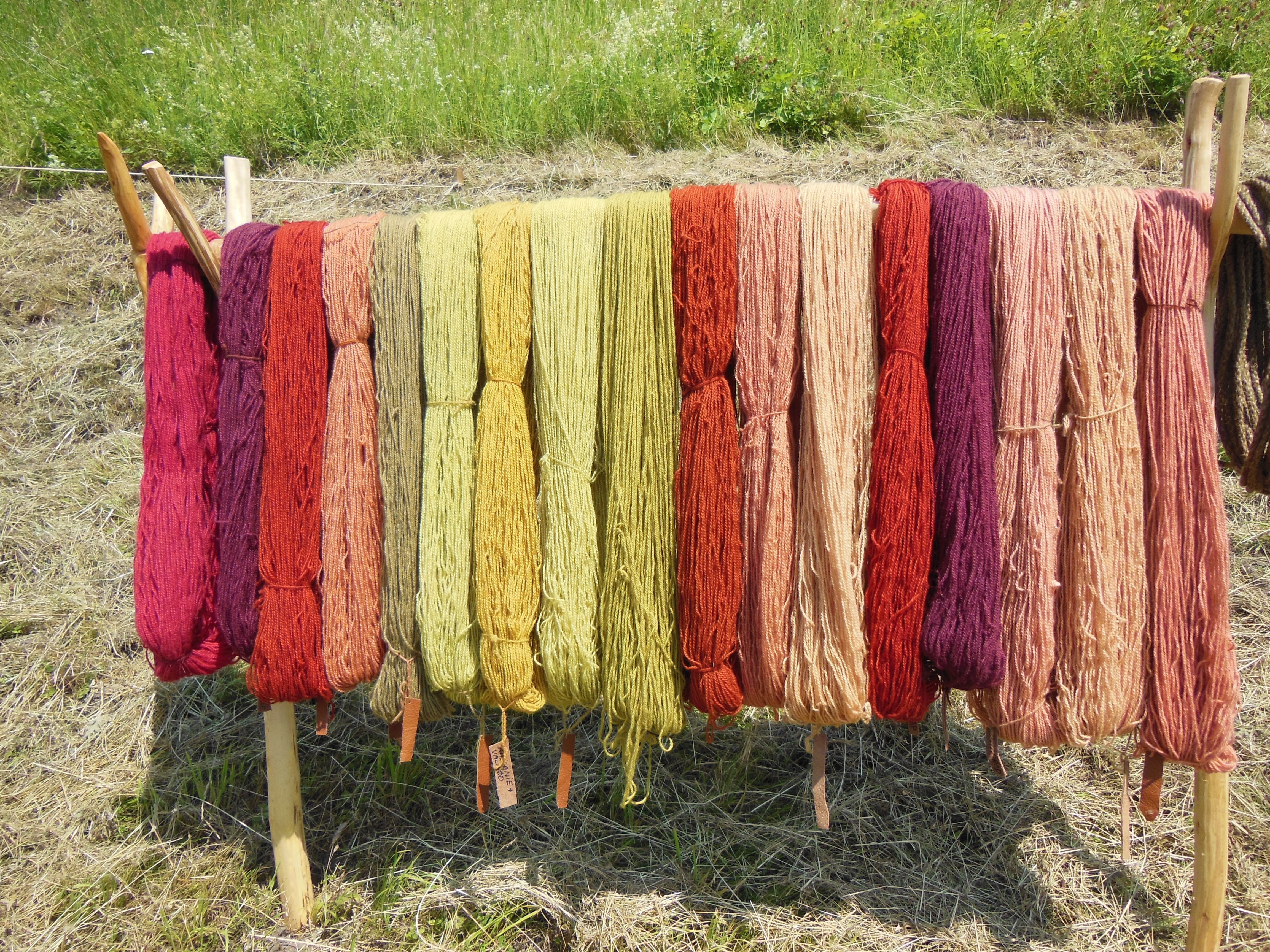 hanging, thread, outdoors, pink, wooden, 4K, side by side, textile, plant, clothing, knitting, no people, variation, quality, wood - material, drying, HD Wallpaper