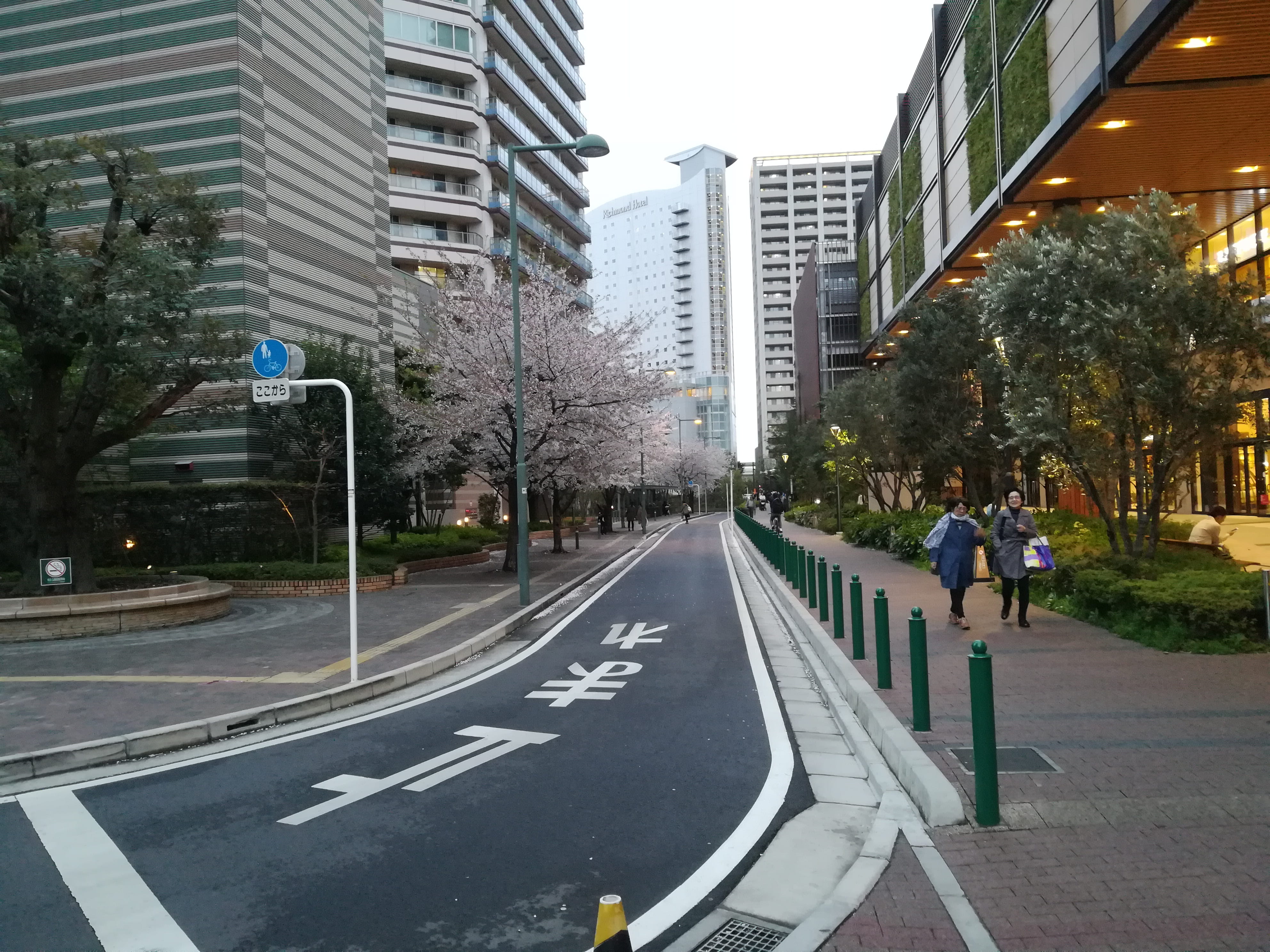 plant, architecture, tree, road marking, day, building, outdoors, direction, city, marking, city street, incidental people, transportation, road, skyscraper, HD Wallpaper