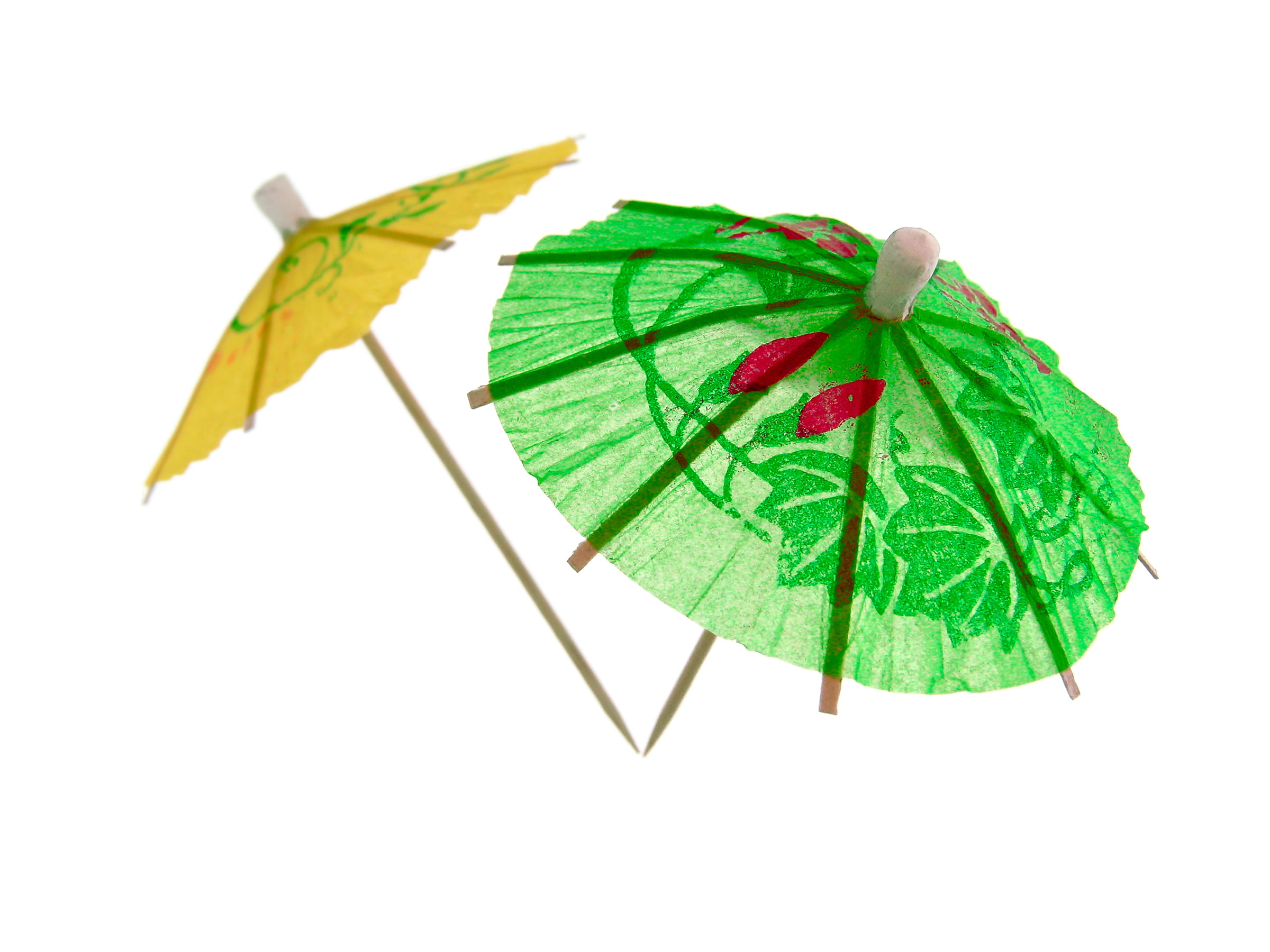 close-up, cut out, animal wildlife, indoors, high angle view, 1080P, nature, invertebrate, white background, tropical, one animal, isolated, umbrella, HD Wallpaper