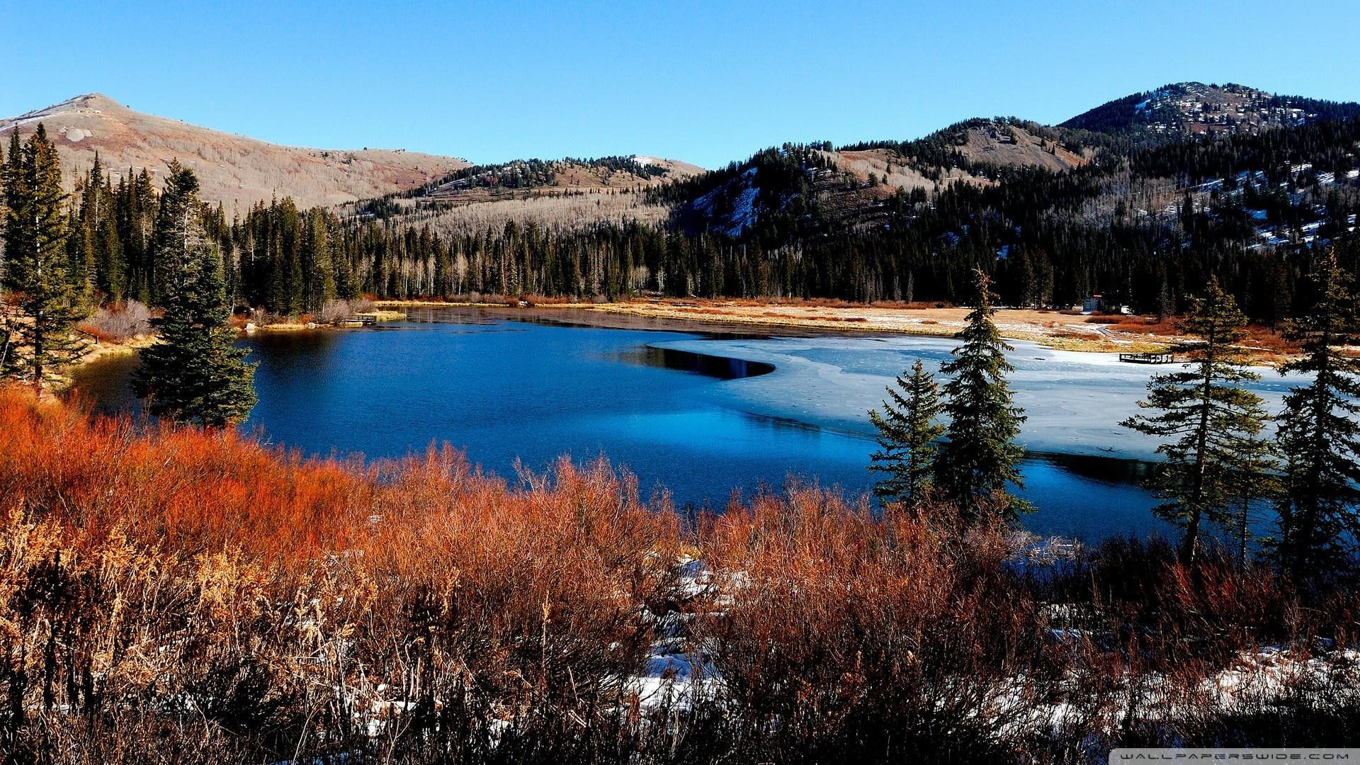 nature and landscapes, hills, forest, 1080P, day, winter, lake, crisp, HD Wallpaper