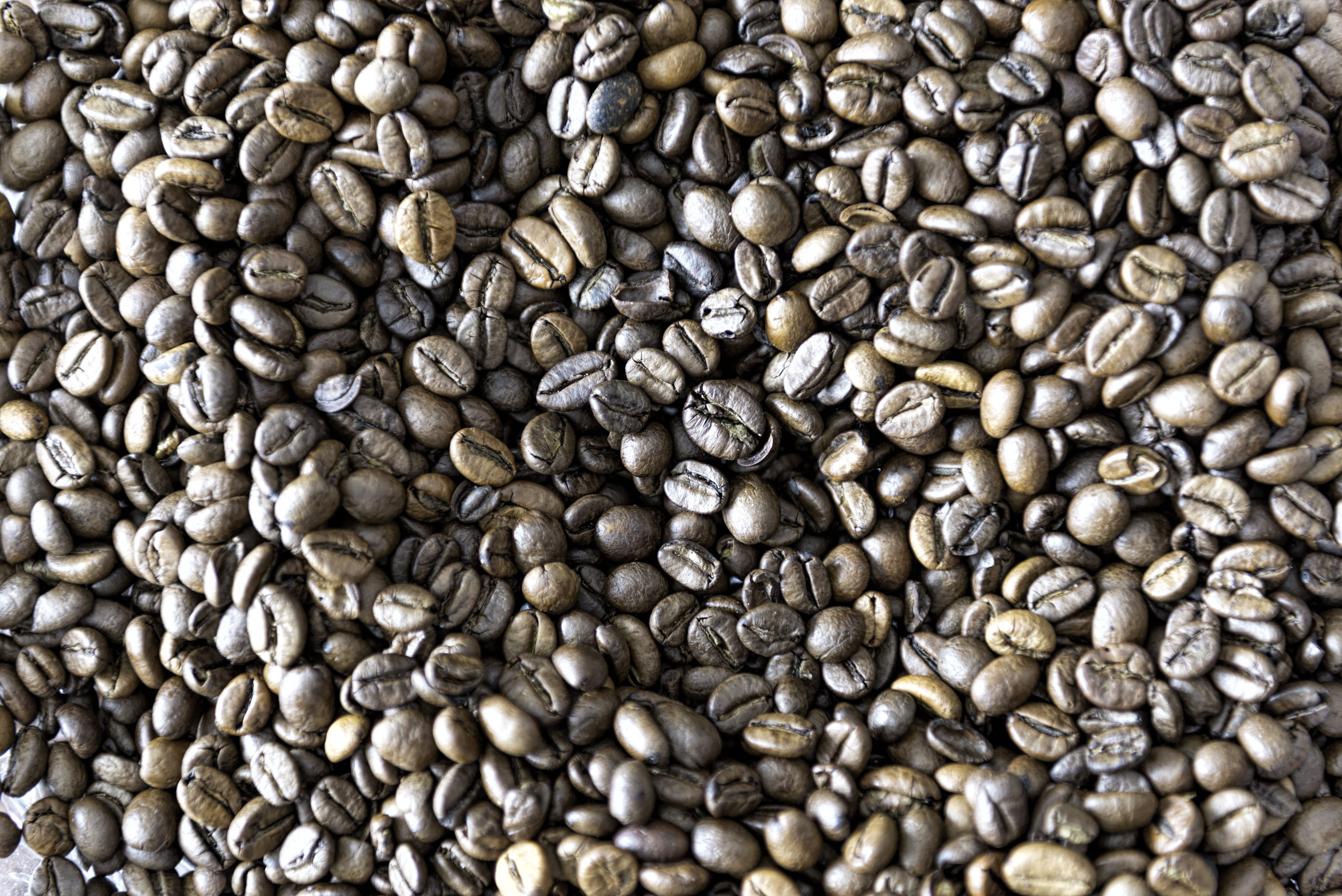 rich flavour, high angle view, coffee - drink, abundance, still life, rich aromatic, food, repetition, full frame, food and drink, brown, large group of objects, HD Wallpaper