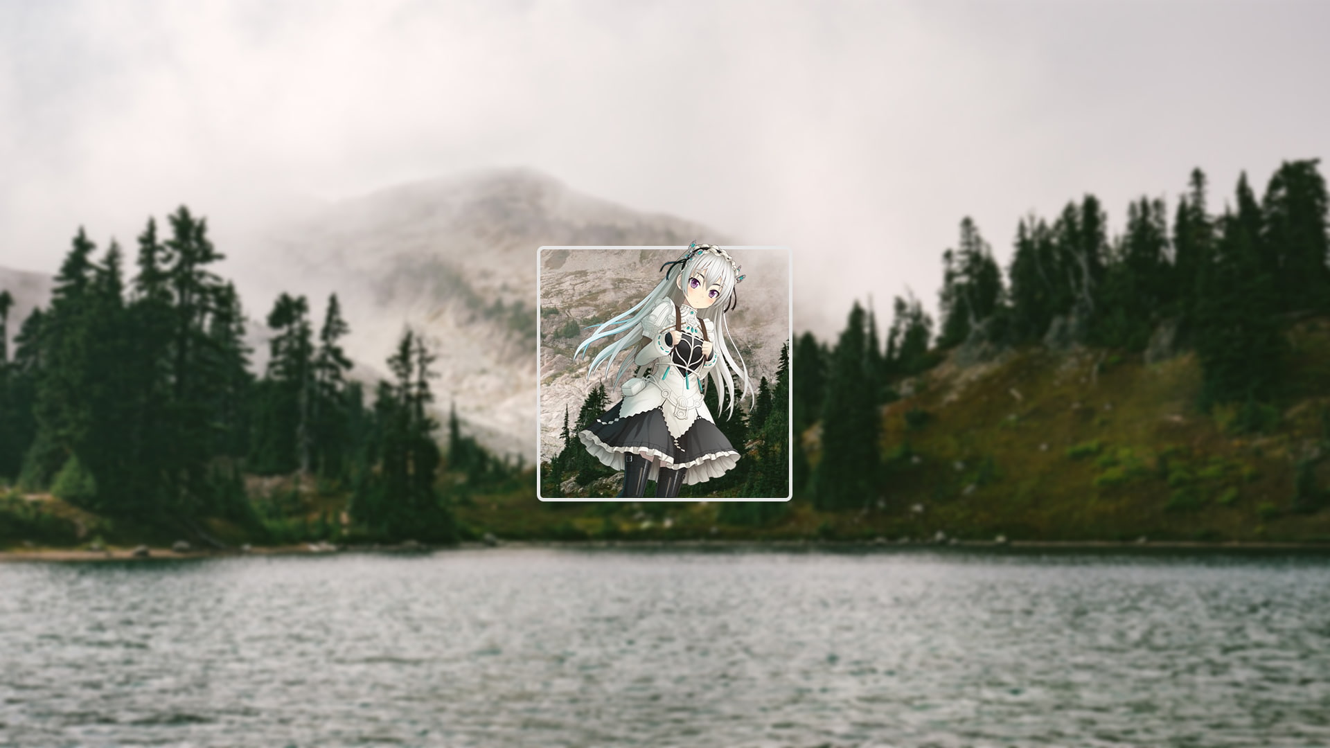 1080P, water, Shikiyo, oak trees, blurred, HD Wallpaper