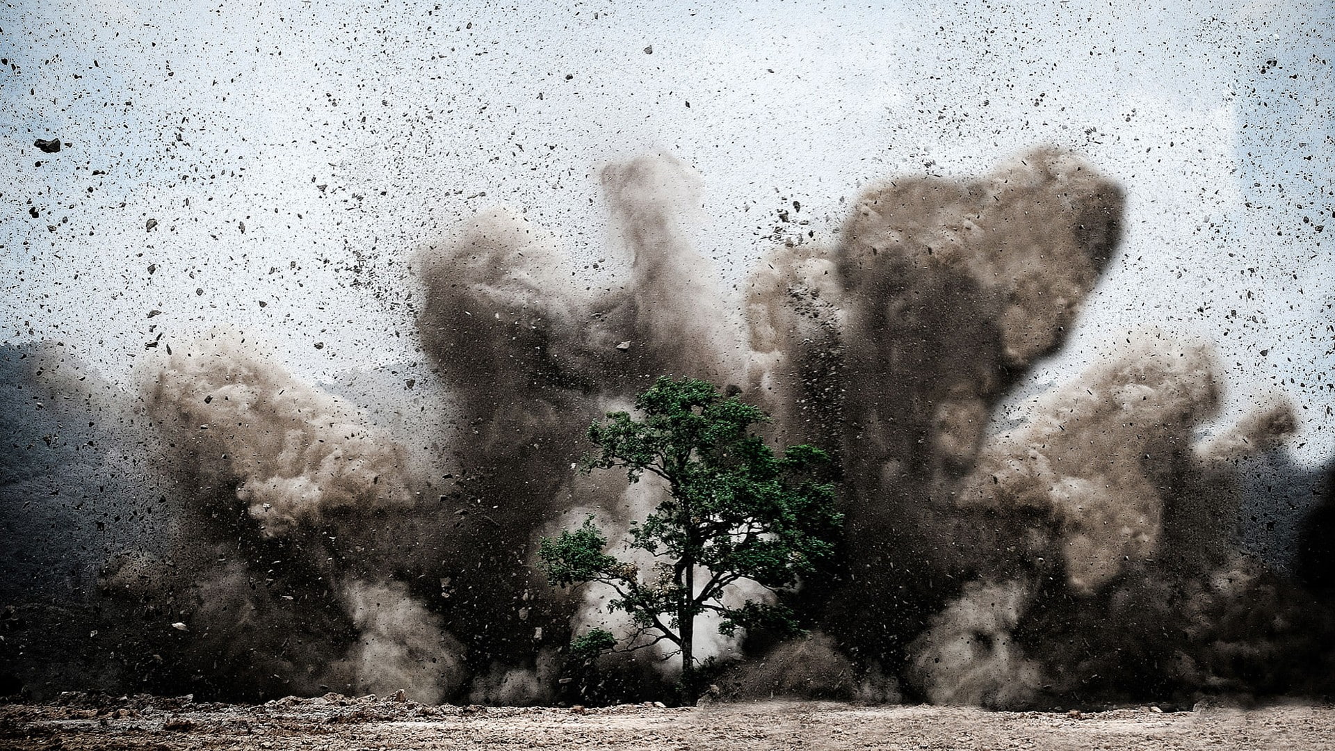 dust, oak trees, 1080P, sunlight, explosion, HD Wallpaper