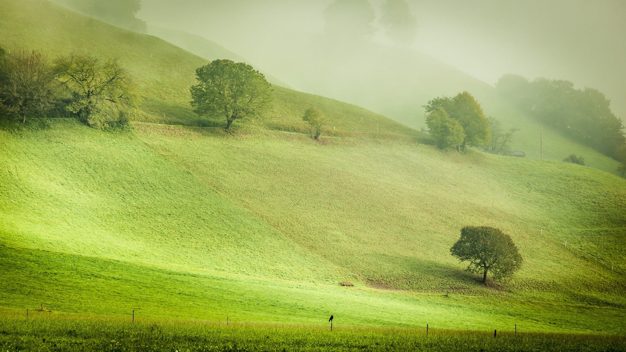 mountain, outdoors, 1080P, growth, green color, non-urban scene, tranquil scene, nature, no people, field, plant, hills, tranquility, landscape, land, HD Wallpaper