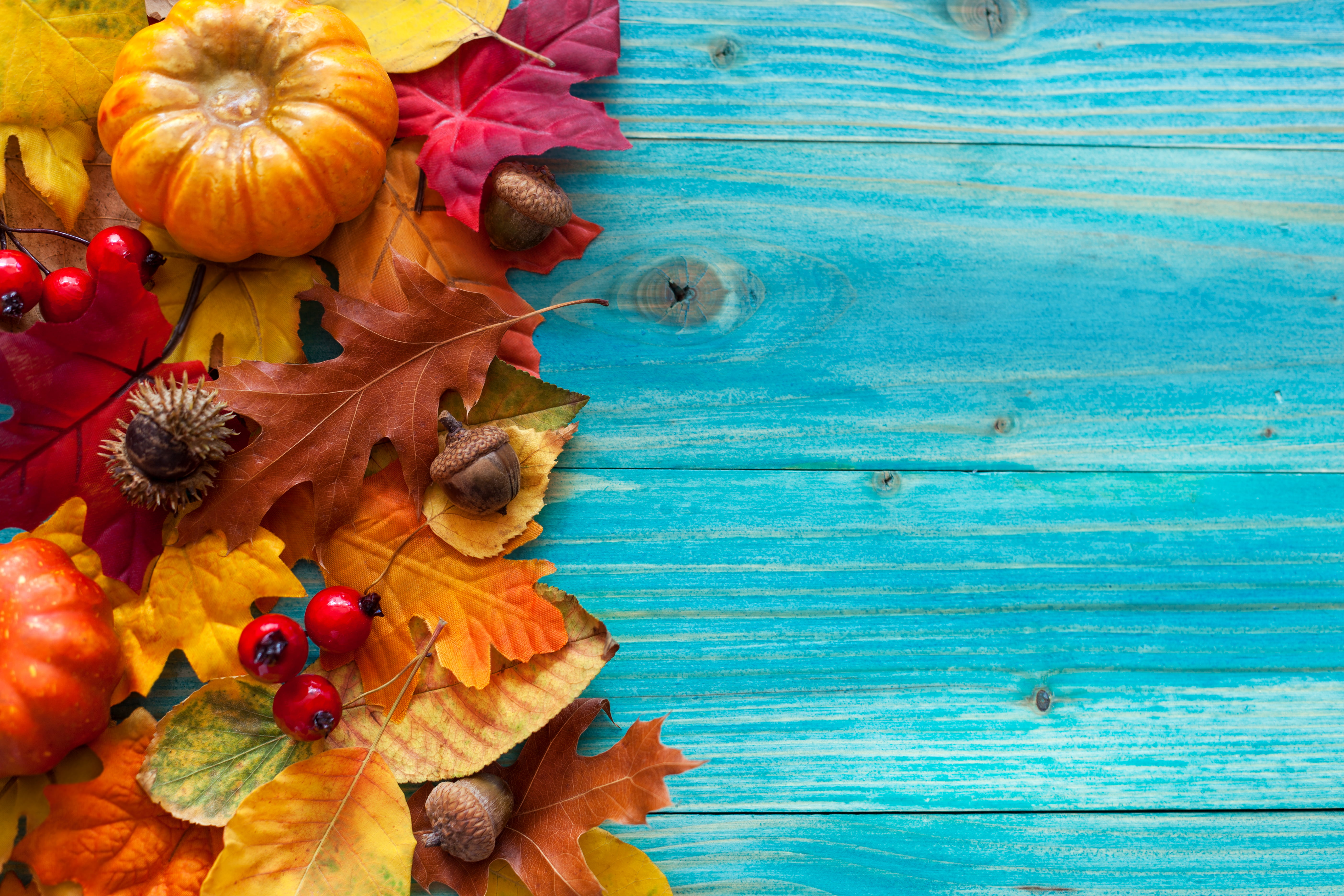 food and drink, tree, 5K, healthy eating, change, maple leaf, pumpkin, no people, wood - material, orange color, food, acorns, celebration, fruit, thanksgiving, HD Wallpaper