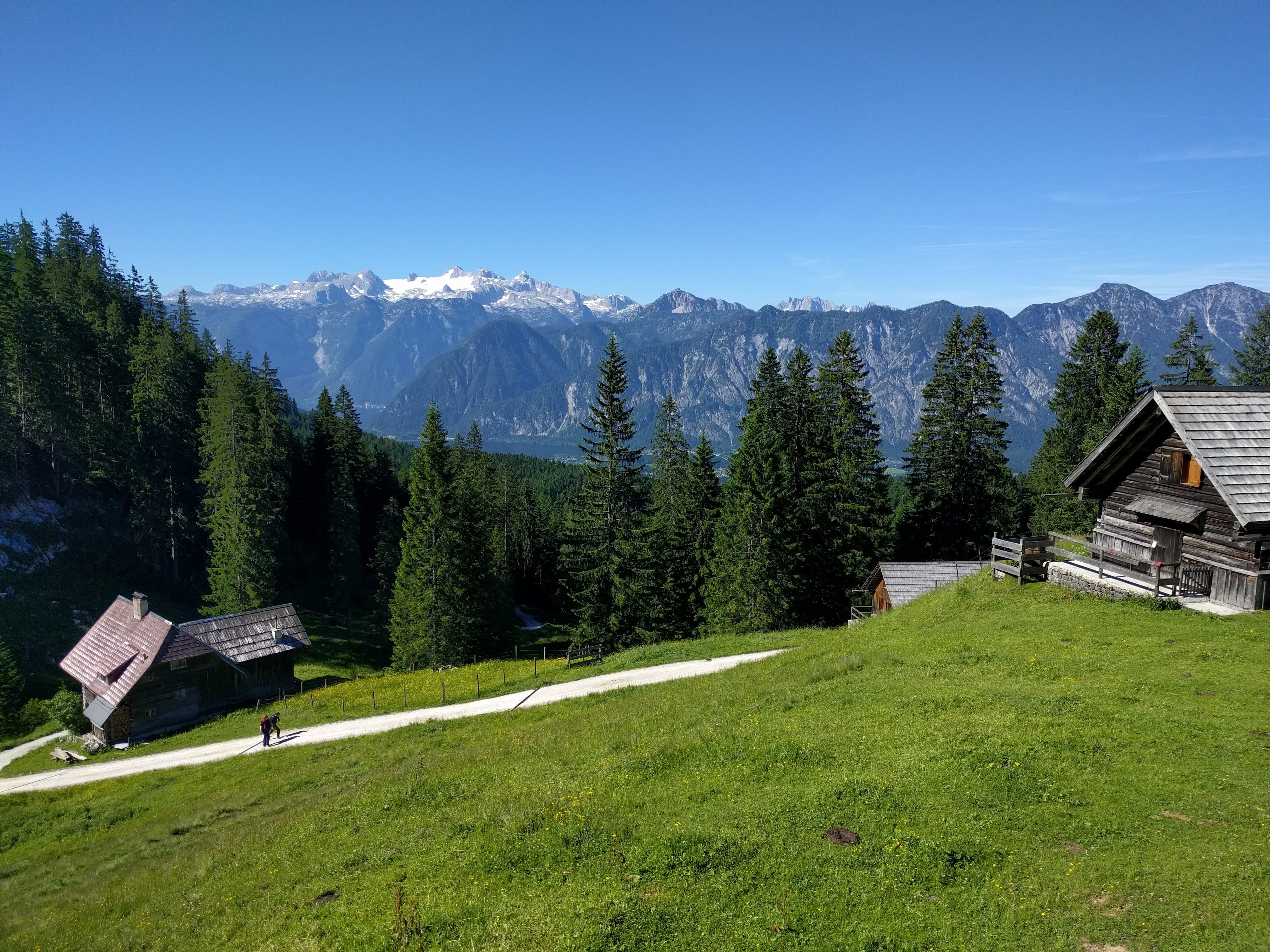nature, scenics, Meadow, mountain, alpine hut, forest, house, summer, european Alps, land, meadow, scenics - nature, snowcapped mountain, mountain Range, HD Wallpaper