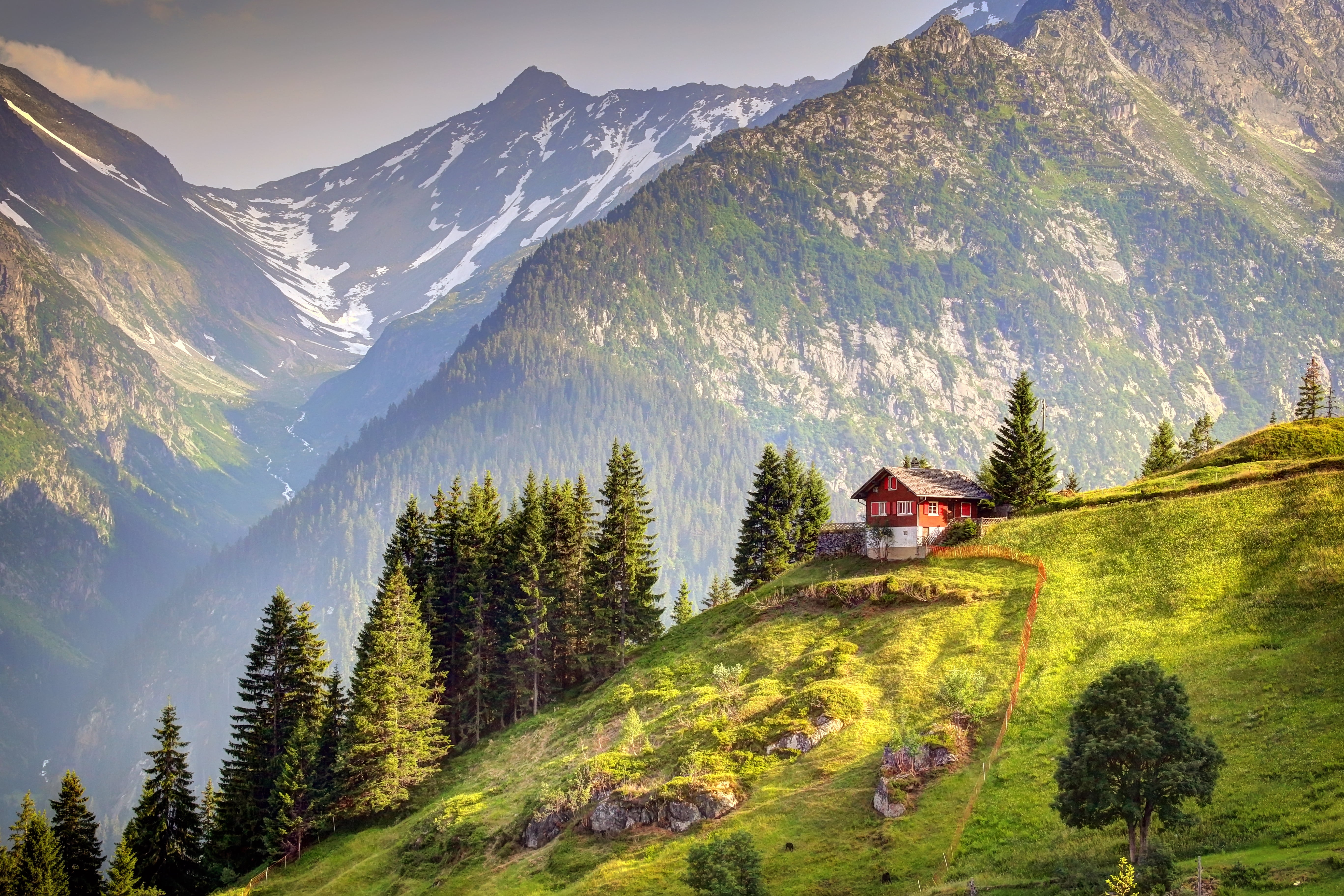 tree, forest, built structure, beauty In Nature, plant, building exterior, village, outdoors, grass, architecture, nature, summer, meadow, european Alps, HD Wallpaper