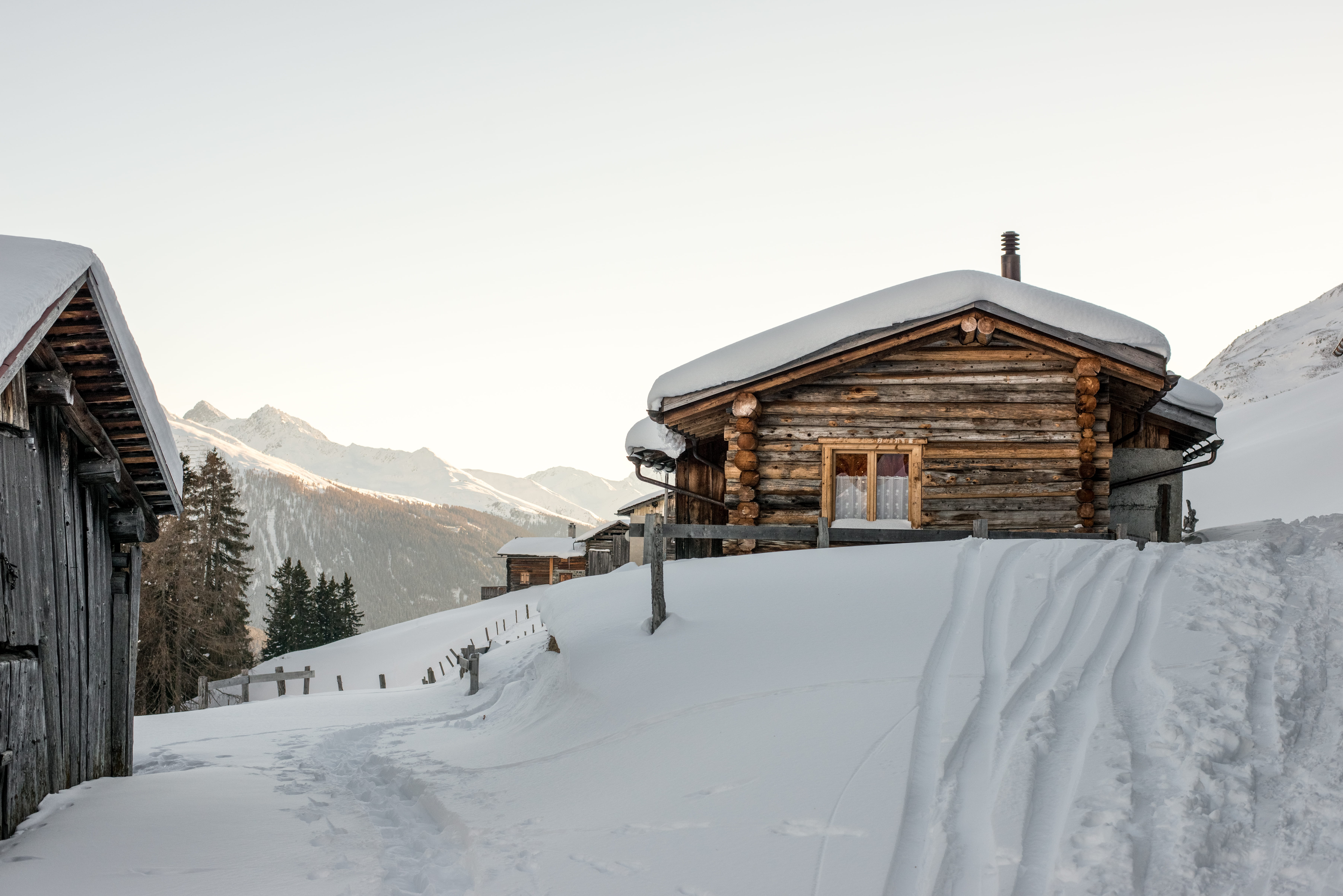 scenics, cold - Temperature, light, tourist Resort, tree, outdoors, wooden, switzerland, rural Scene, cold, idyllic, daytime, mountain, track, non-Urban Scene, HD Wallpaper
