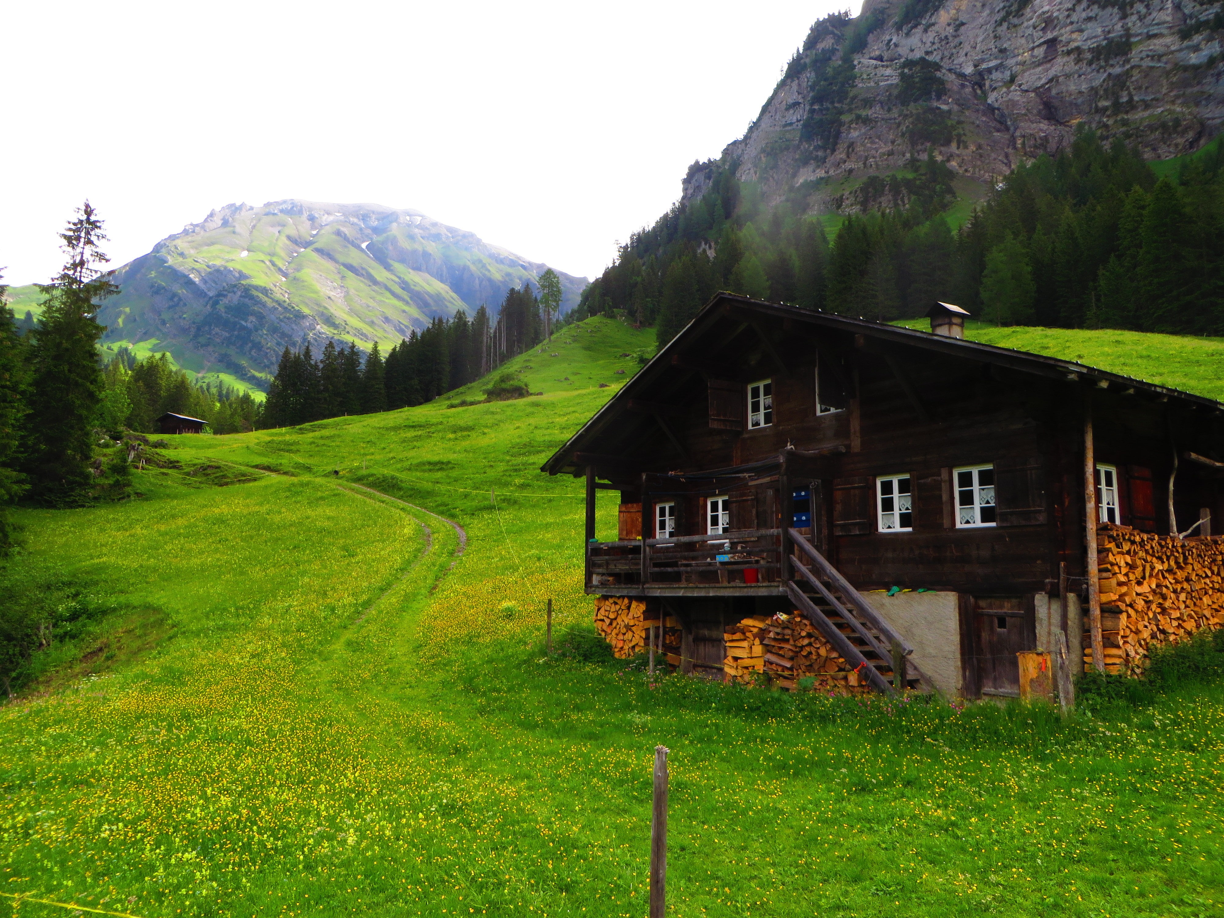 Switzerland, Bernese Alps, grass, mountains, Swiss Alps, Chalet, Green, Lenk, Pine Trees, Alps, 4K, HD Wallpaper