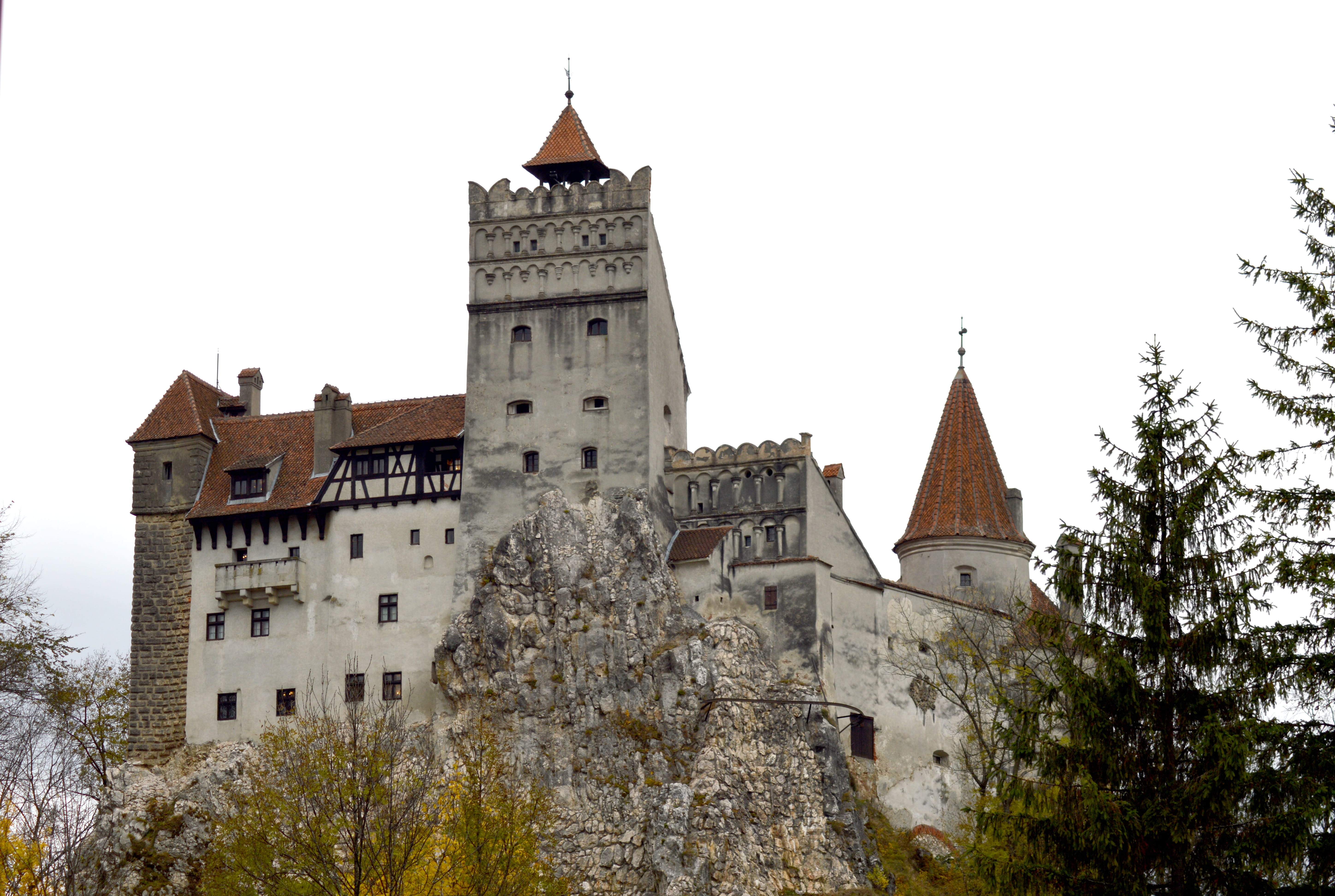 medieval, travel destinations, building, Romania, plant, tower, architecture And Buildings, Bran, building Exterior, no people, clock tower, built structure, HD Wallpaper