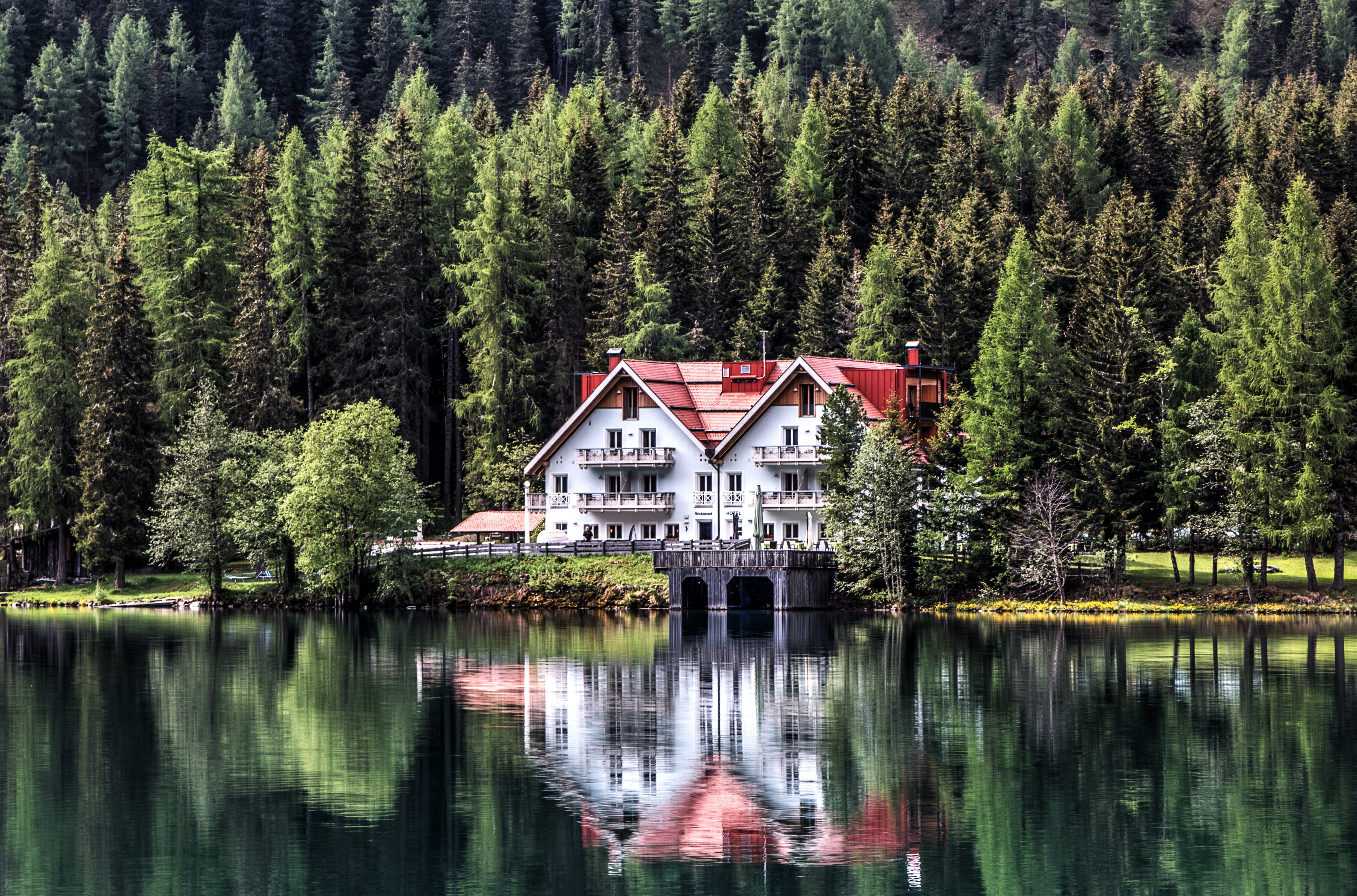 residential district, green Color, nature, summer, scenics, coniferous tree, reflection, architecture, beauty In Nature, Chalet, tree, plant, Forest, canada, HD Wallpaper