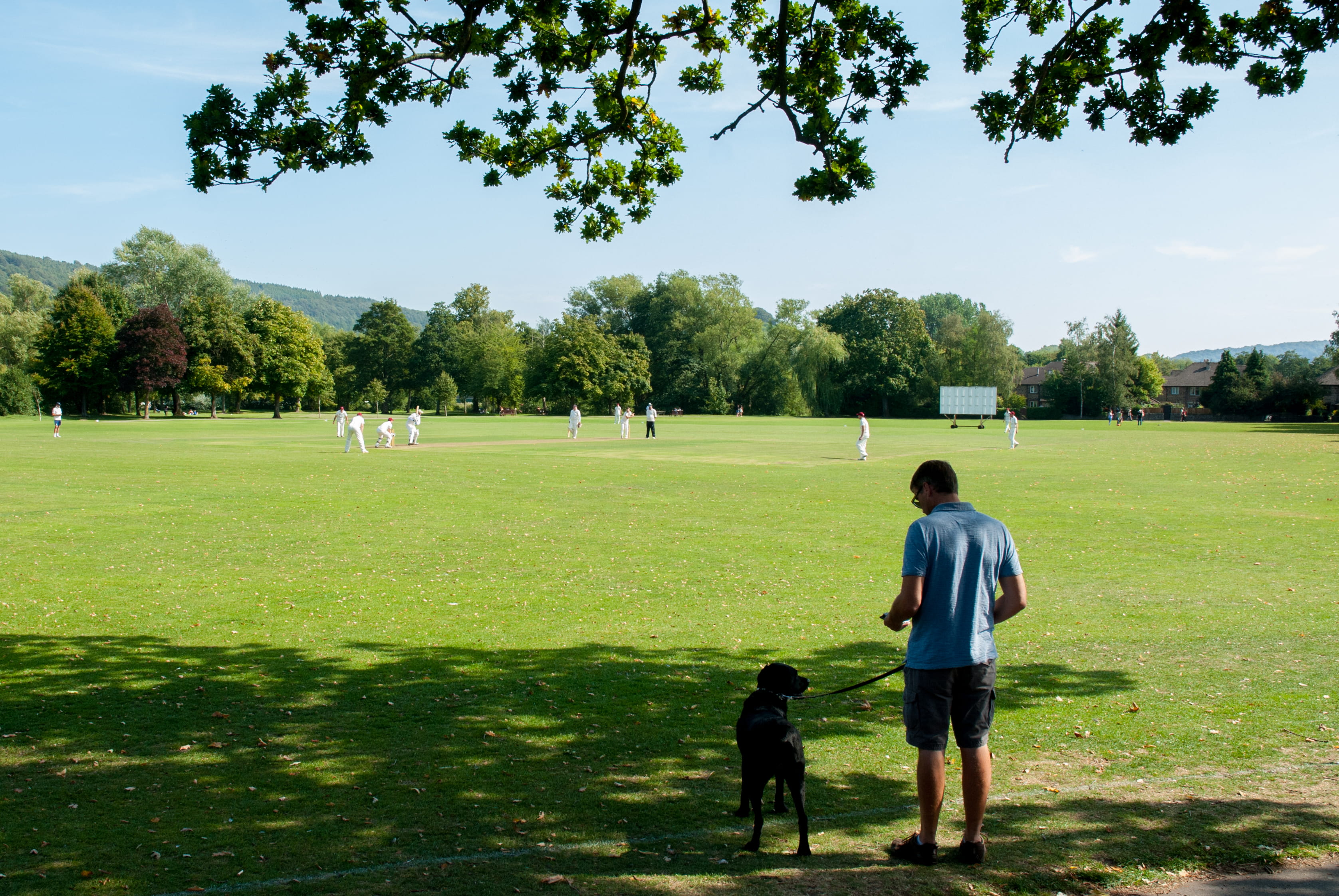 child, bakewell, uk summer, boys, plant, grass, childhood, leisure activity, togetherness, real people, rear view, males, nature, people, cricket, green color, HD Wallpaper