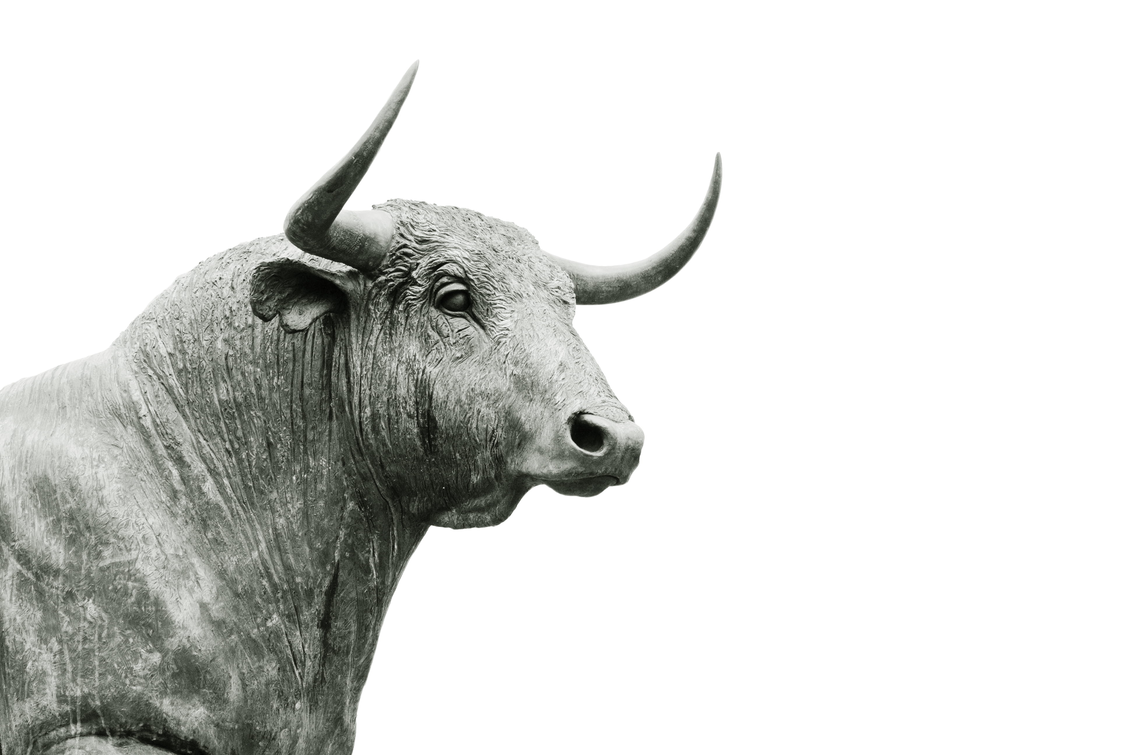 cow, vertebrate, animal head, animal body part, bull - Animal, 4K, clear sky, sky, horned, statue, gray scale, one animal, no people, copy space, studio shot, HD Wallpaper