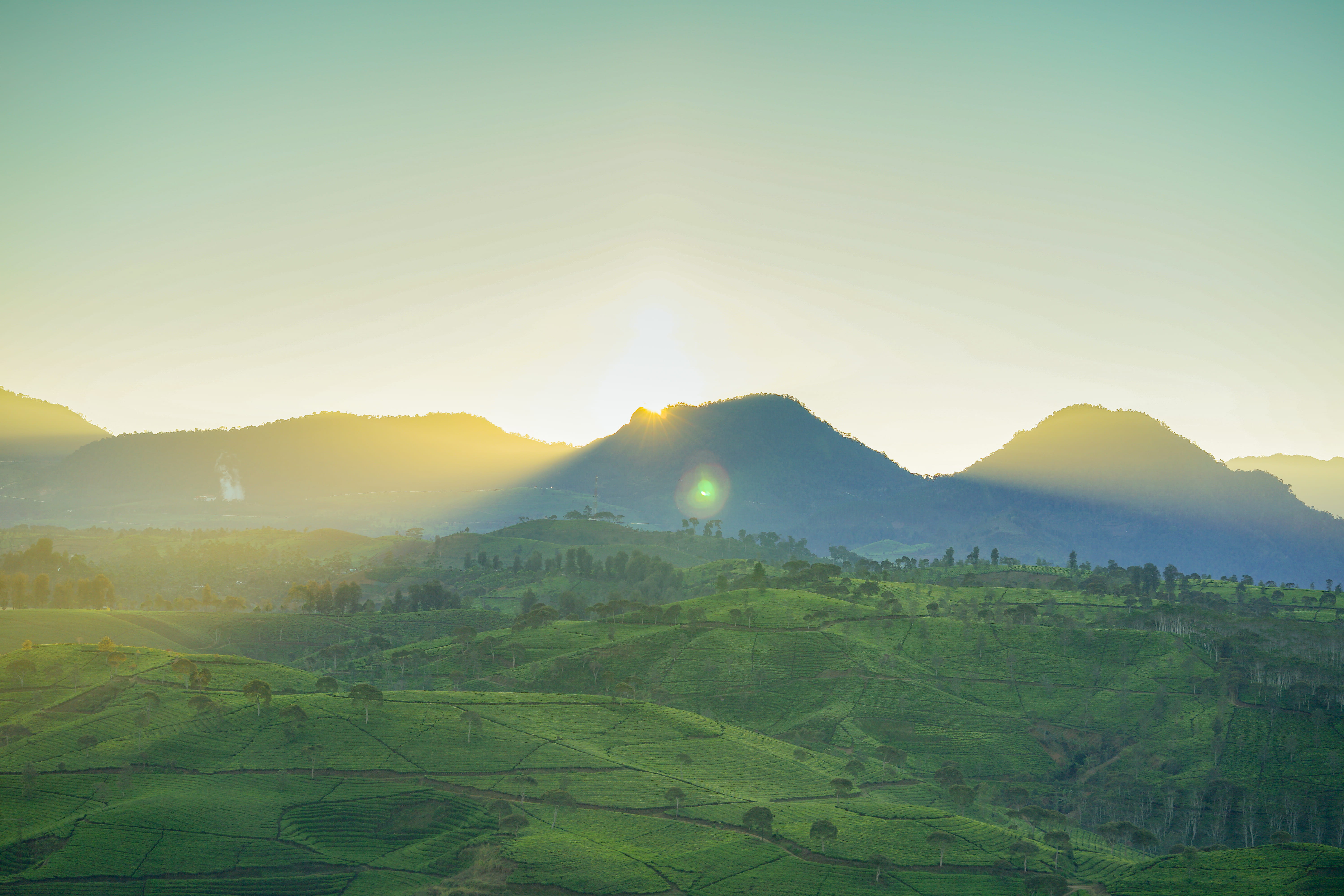 sun, beauty in nature, agriculture, sunset, dusk, field, no people, mountain range, mountain, indonesia, green color, green, sunflare, fields, tree, pangalengan, HD Wallpaper