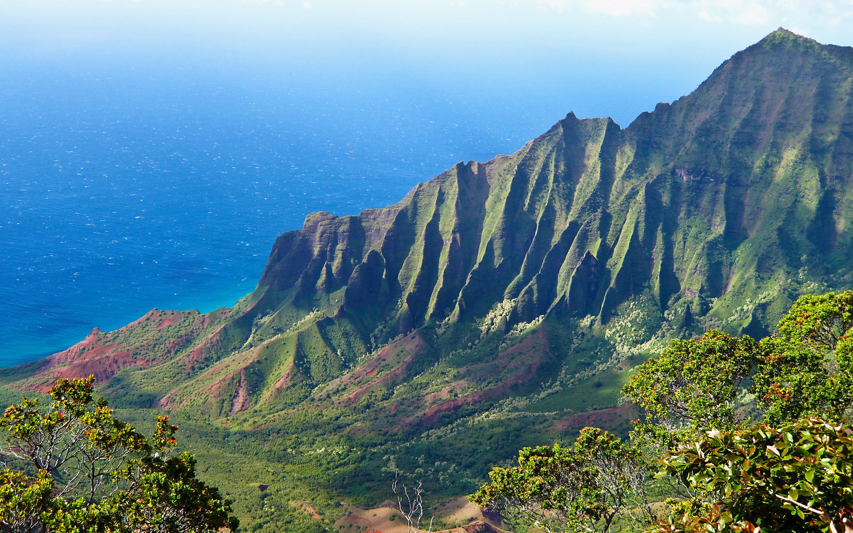 kalalauvalley, plant, growth, idyllic, kalalau, non-urban scene, day, outdoors, valleys, mountains, landscape, valley, formation, beauty in nature, no people, HD Wallpaper