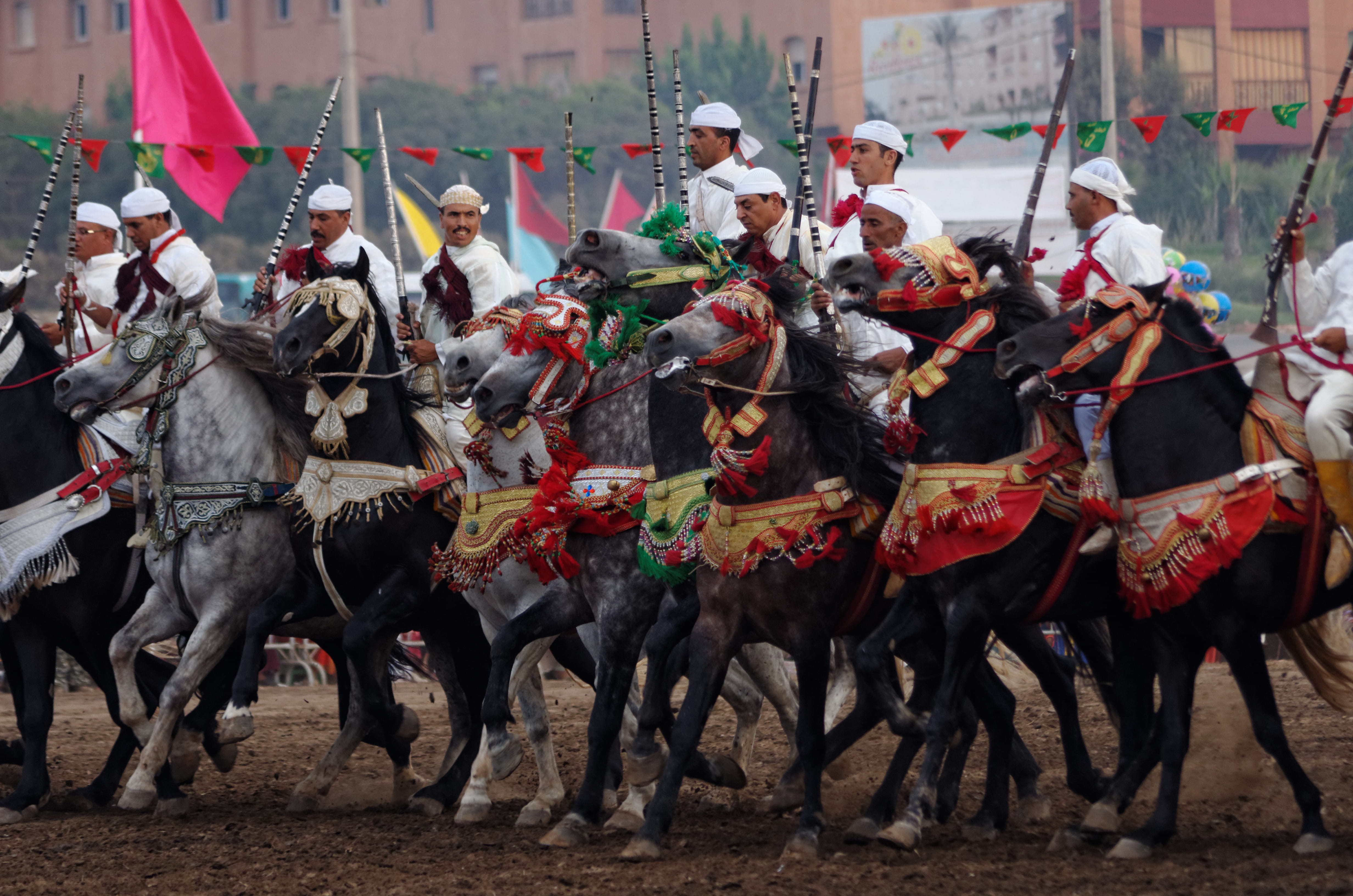 domestic animals, festival, morocco, event, real people, day, large group of people, outdoors, mammal, traditionnal, livestock, parade, horses, uniform, HD Wallpaper
