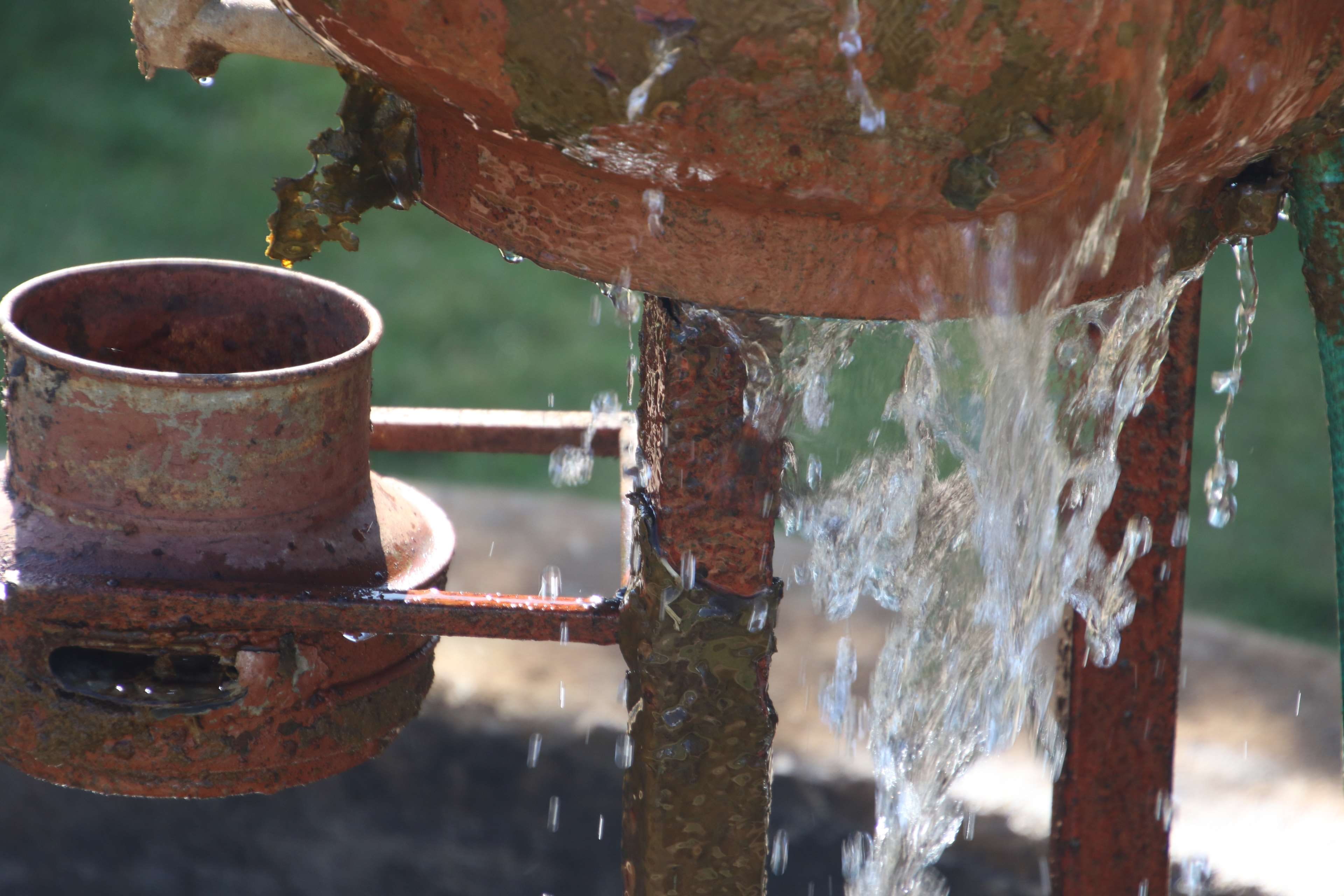 weathered, 4K, tree, trunk, old, rough, brown, mug, rusty, water drops, close-up, plant, tree trunk, overflow, water, focus on foreground, outdoors, drops, HD Wallpaper