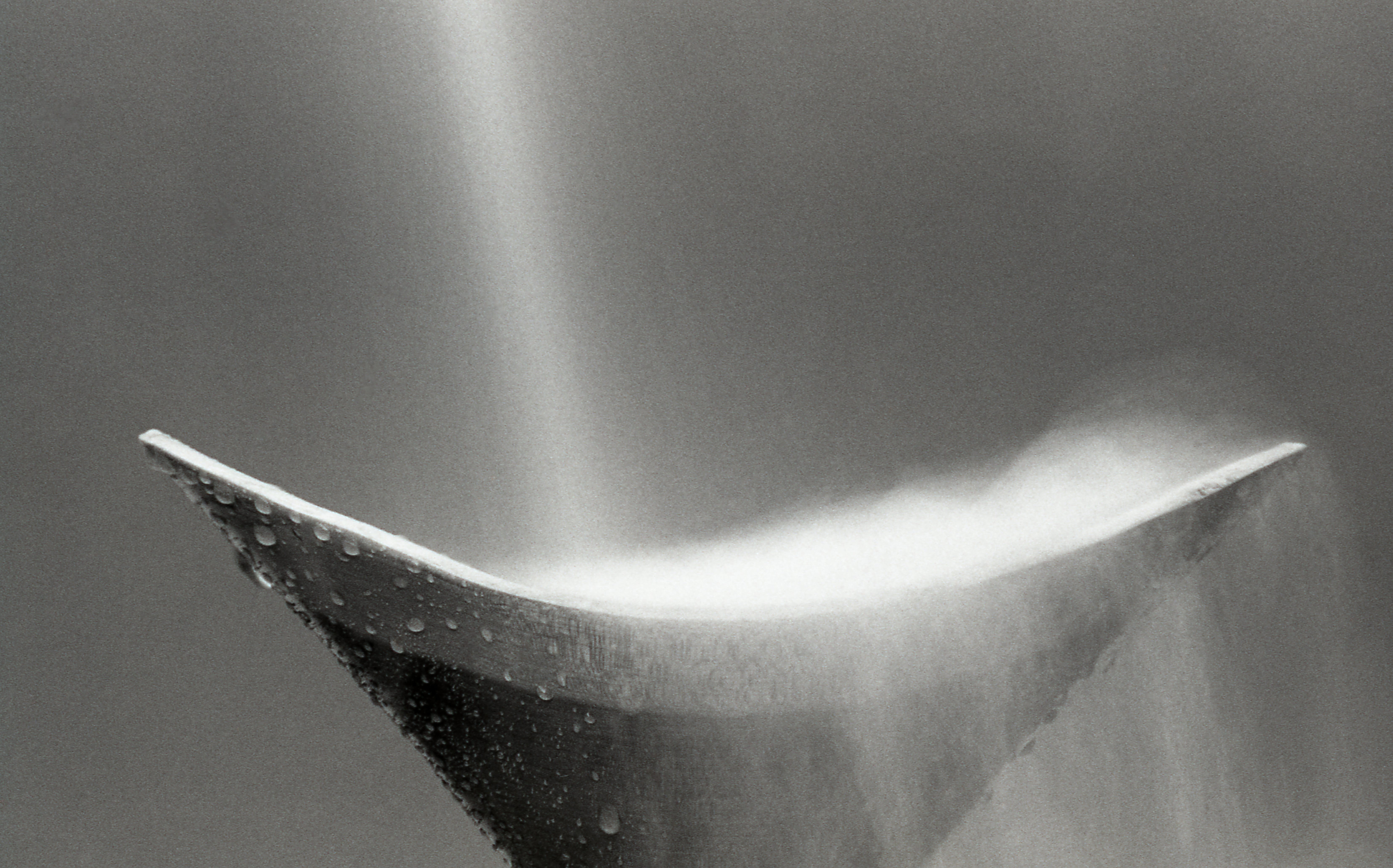 close-up, film grain, 5K, water drops, white color, one animal, still life, no people, drop, single object, nature, bowl, animal themes, steam, experimental, HD Wallpaper