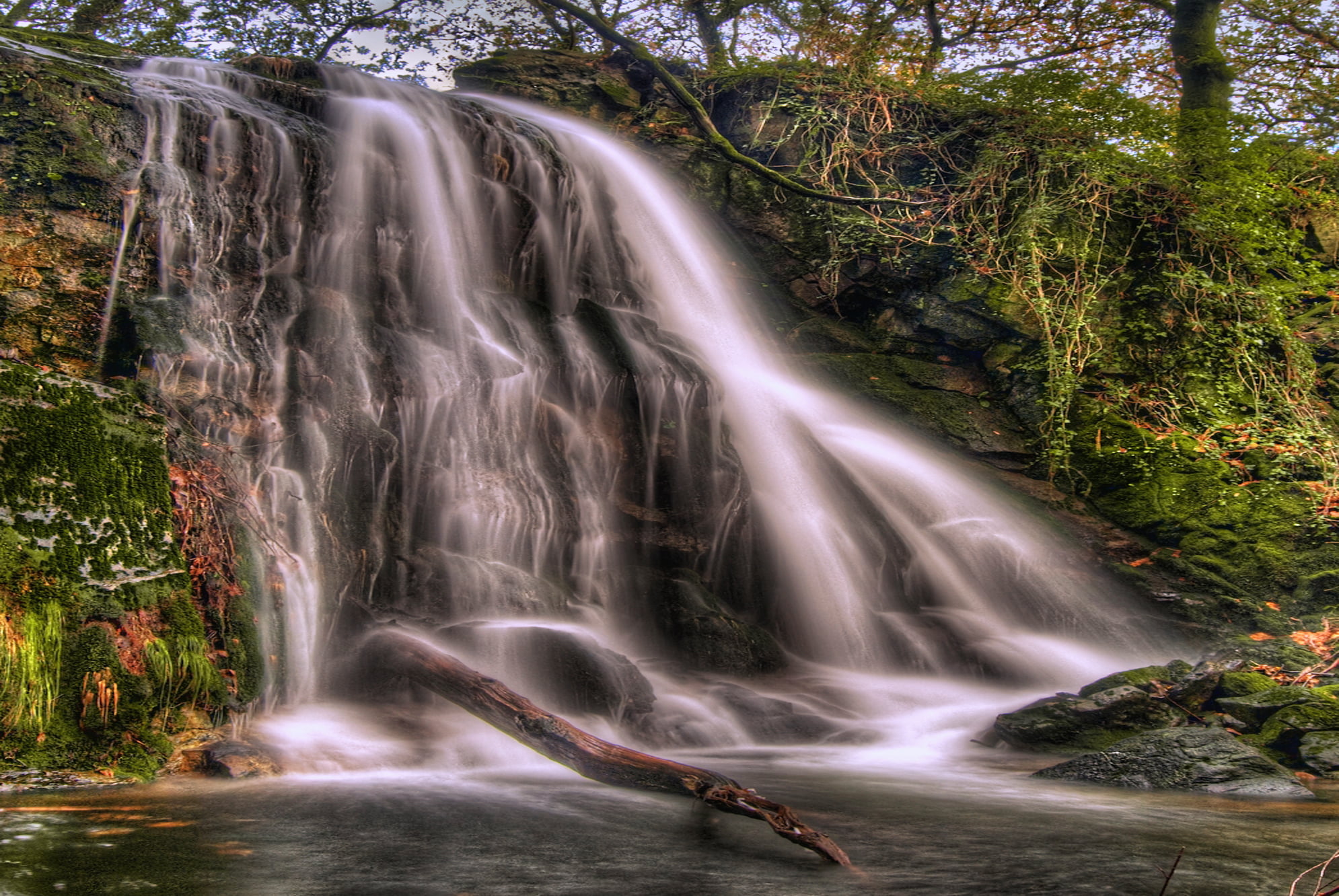 Porto do Son, river, Galicia, 1080P, Photographer, nature, tree, stream, scenics, Hdr, rock - Object, Perfect, tropical Rainforest, Waterfall, Awards, HD Wallpaper