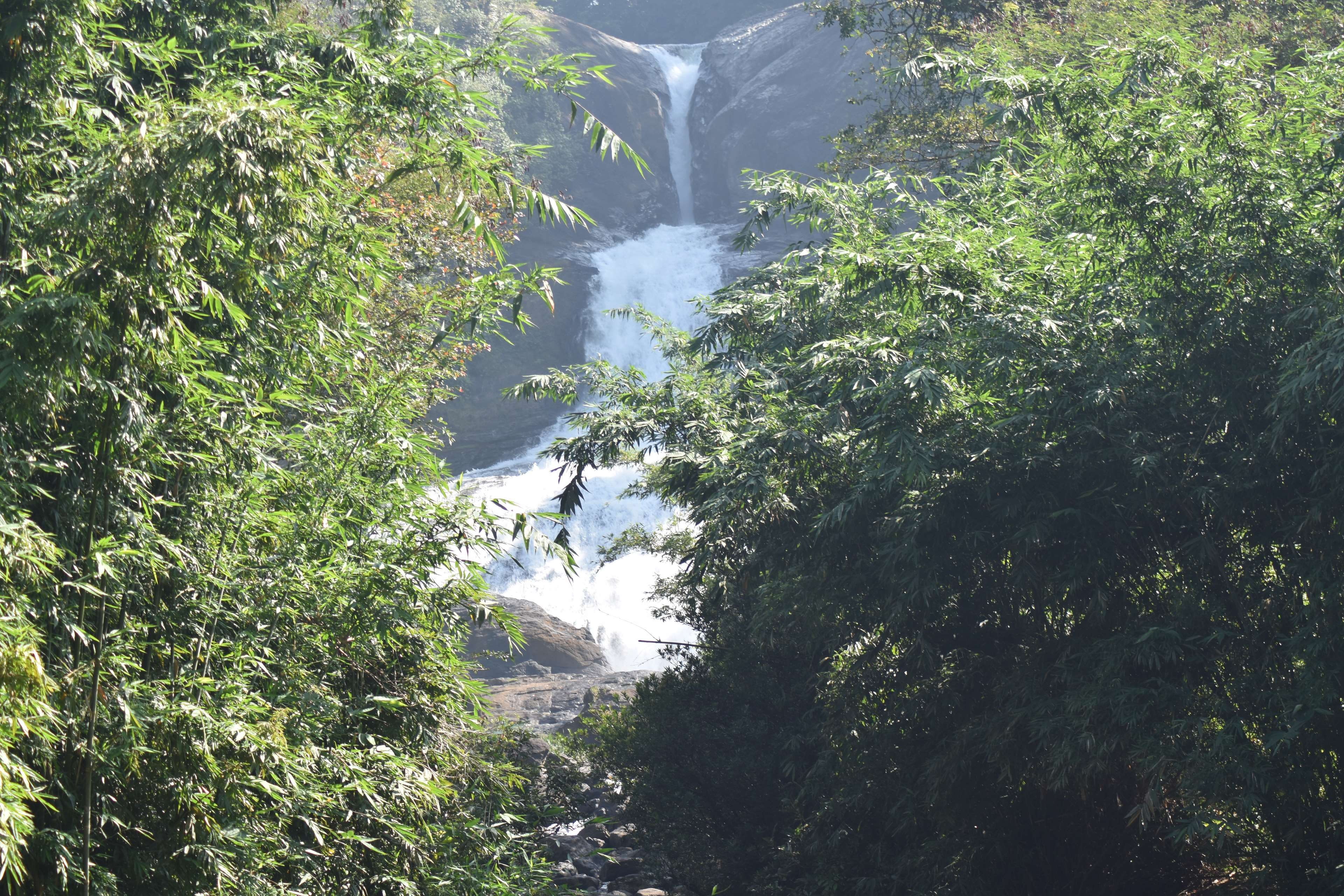 sunlight, water, scenics - nature, power in nature, sri lanka, flowing, land, beauty in nature, waterfall, flowing water, rathnapura district, day, outdoors, HD Wallpaper