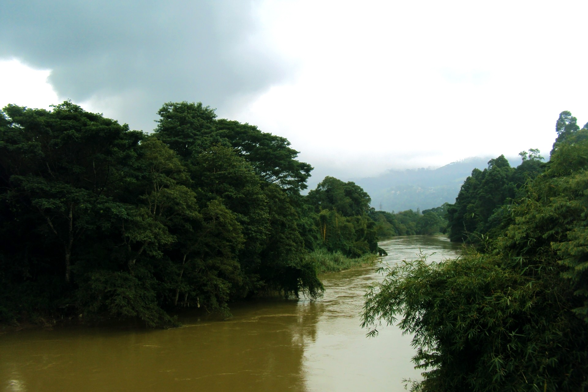 cloud - sky, non-urban scene, nature, 1080P, green trees, flooded river, outdoors, beauty in nature, reflection, peradeniya, sky, tranquility, day, no people, HD Wallpaper