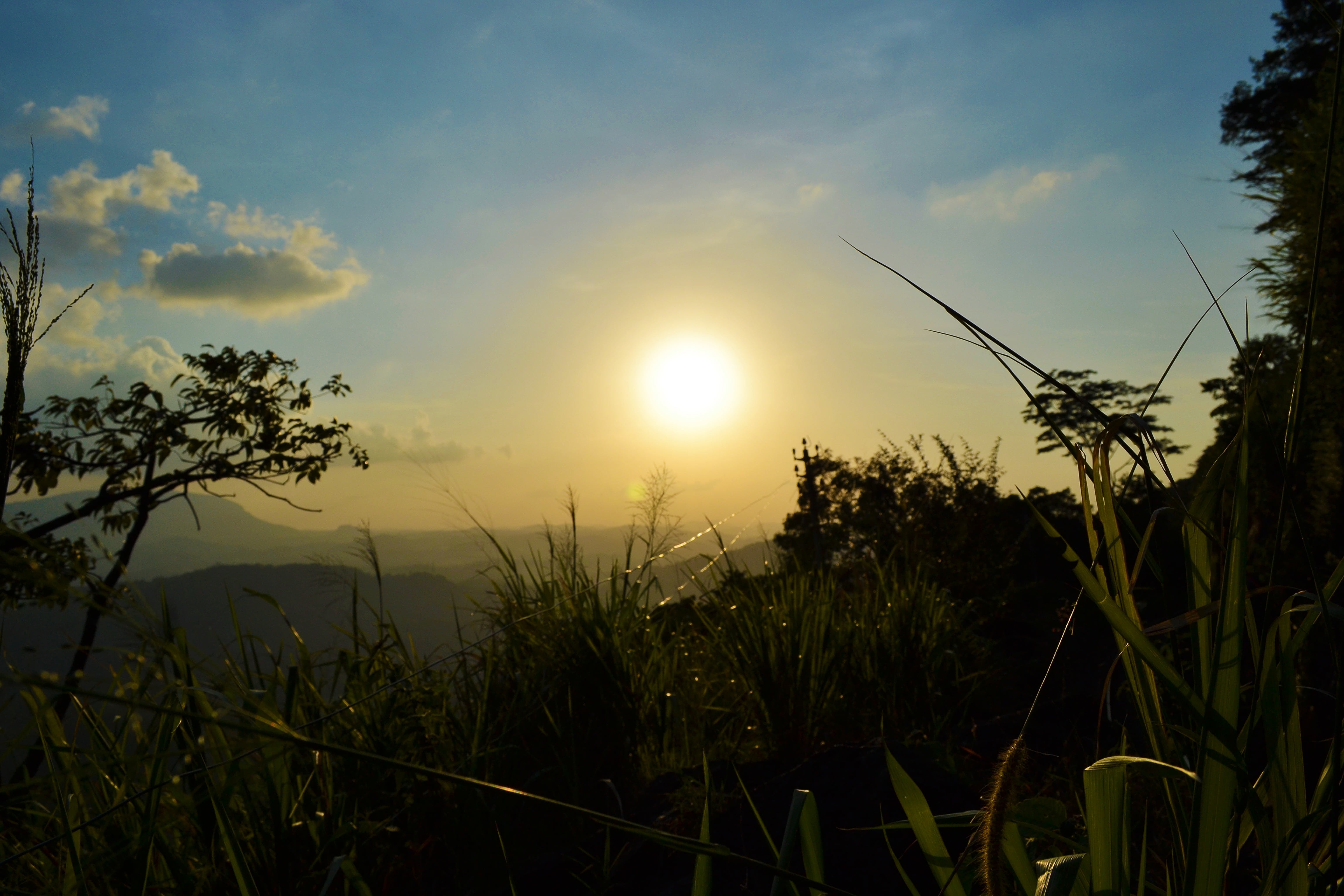 silhouette, landscape, tranquility, lens flare, land, ceylon, outdoors, sun set, trees, sunlight, scenics - nature, blue sky, sri lanka, field, sunset, HD Wallpaper