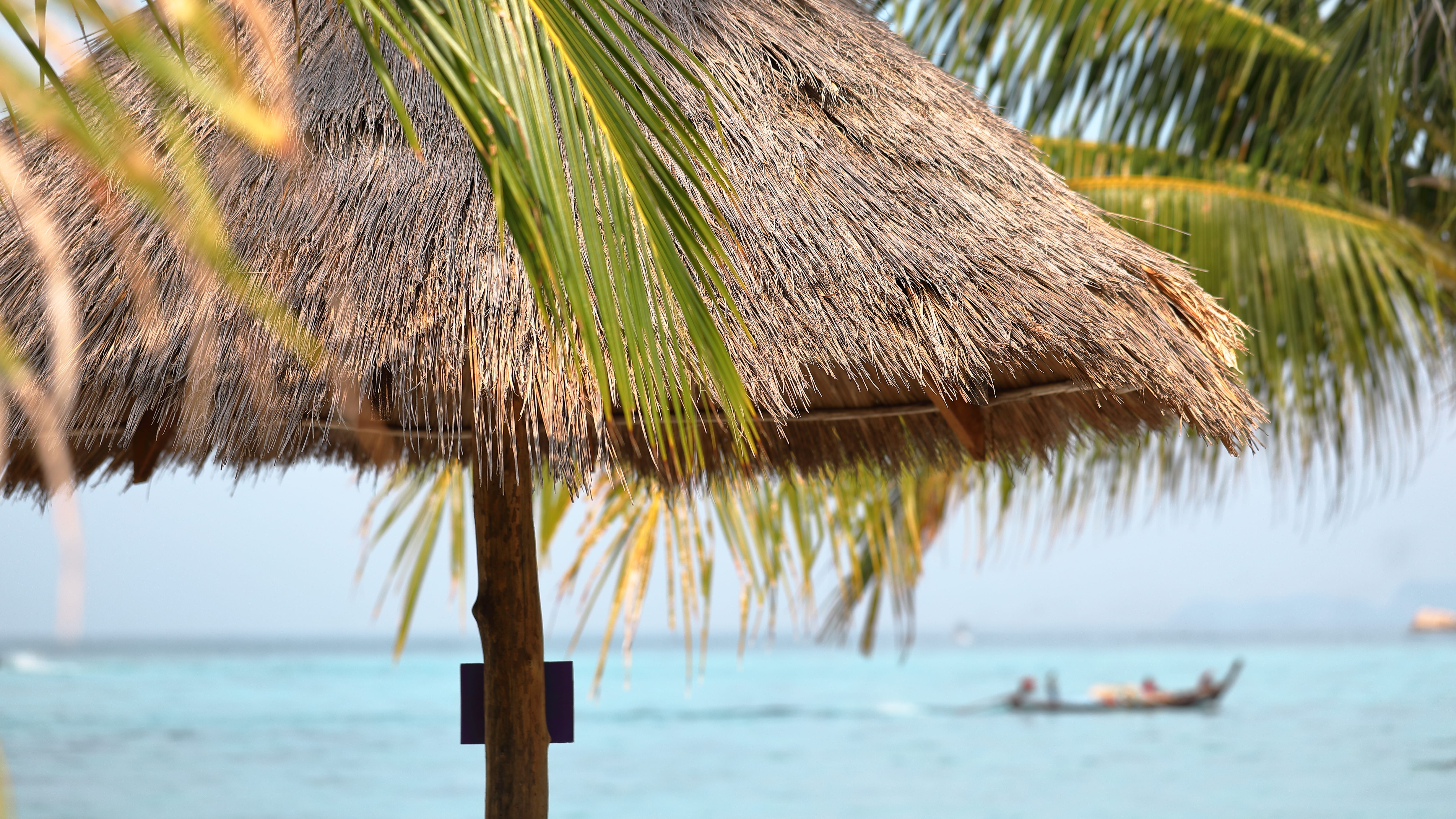 tropical climate, tranquil scene, 5K, plant, koh, person, beach, bird, countryside, umbrella, no people, land, sea, tree, thailand, tranquility, arecaceae, HD Wallpaper